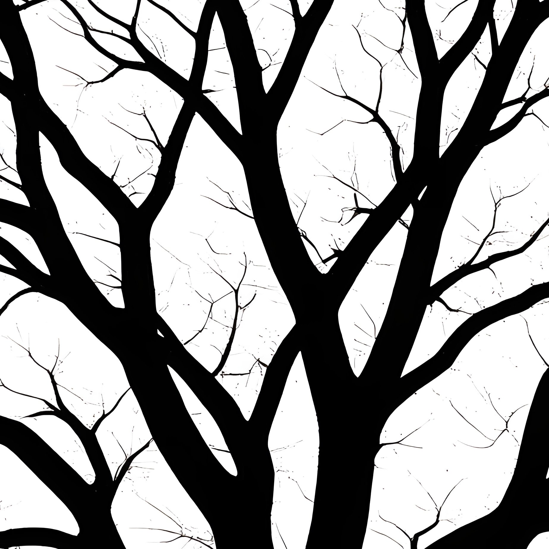 A Bare Tree Silhouette Tree Silhouette - Full Resolution Quality Preview