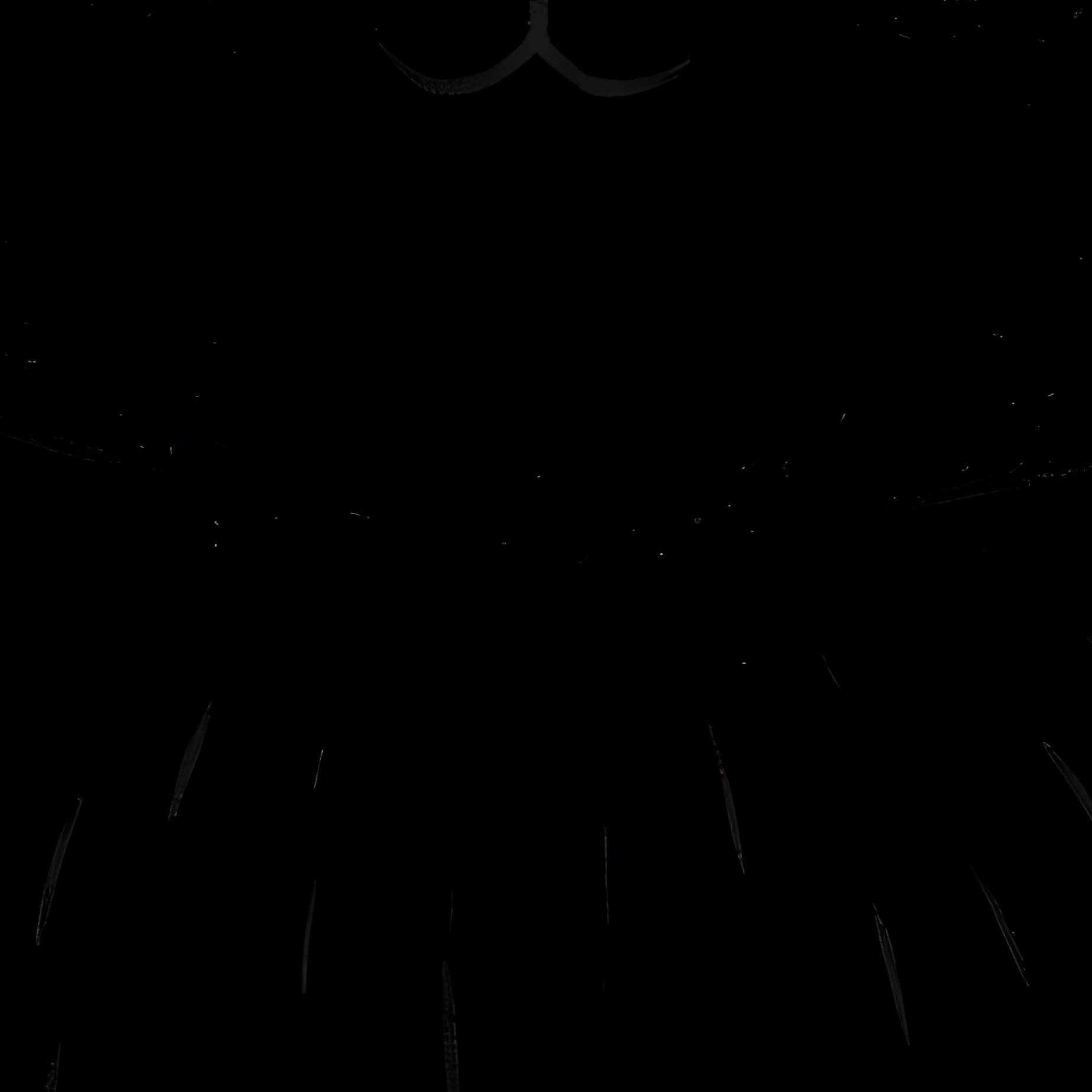 A Black Cat Cat Black - Full Resolution Quality Preview