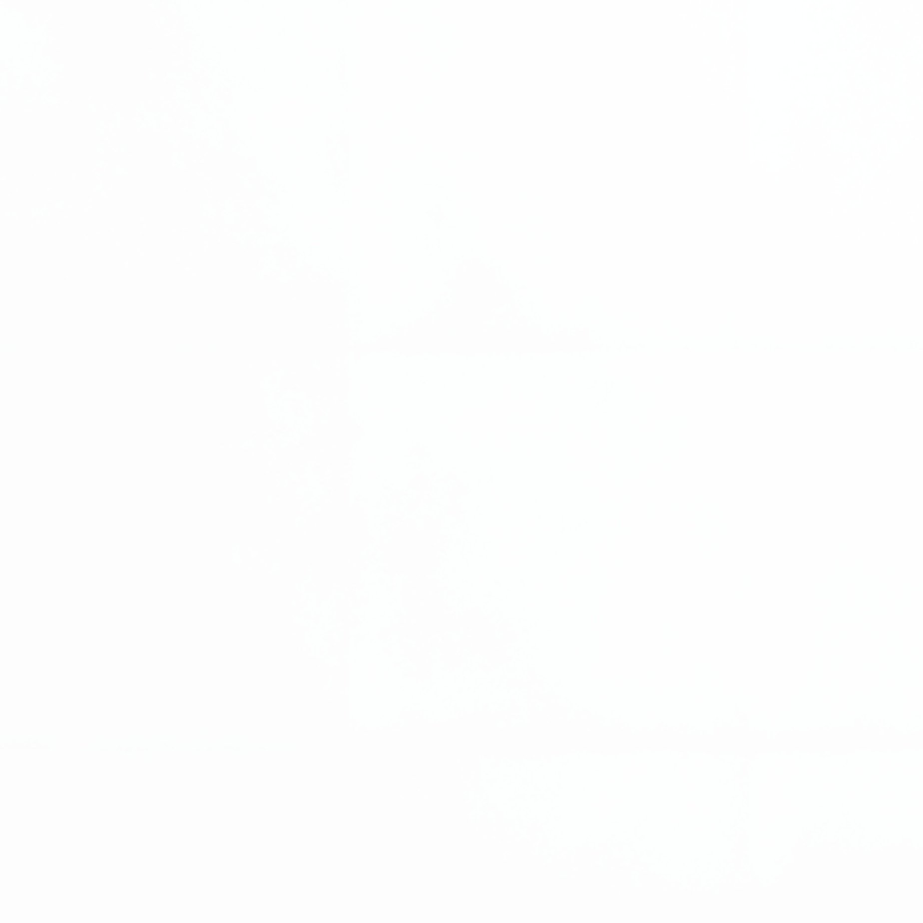 A Blank White Frame Surrounded By Christmas Decorations Christmas - Full Resolution Quality Preview