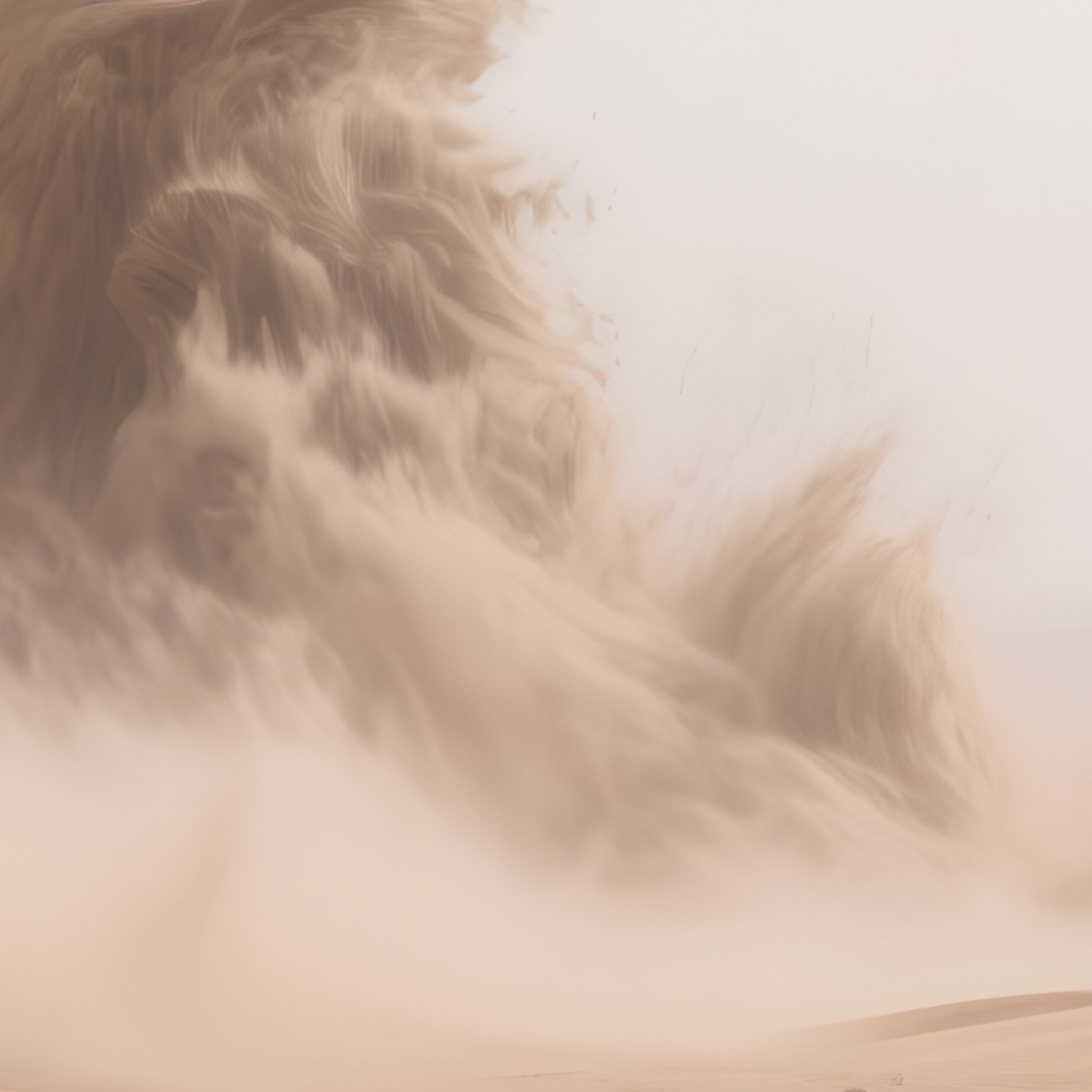 A Blizzard Sweeping Across Cracked Desert Clay. - Full Resolution Quality Preview