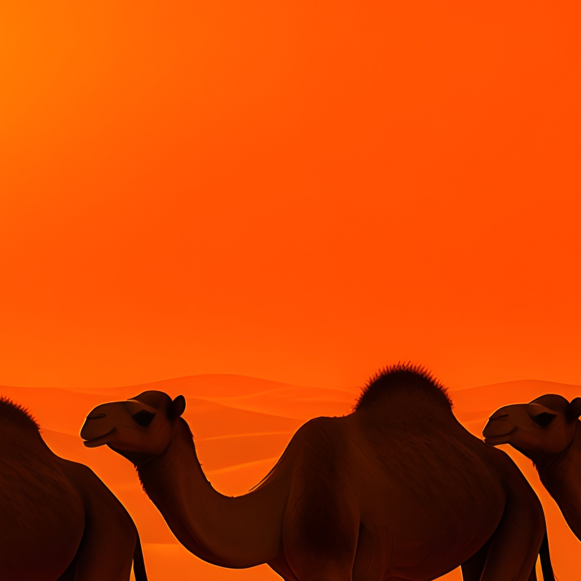 A Caravan Of Camels Moving Through Golden Dunes Under A Red Orange Sunset - Full Resolution Quality Preview