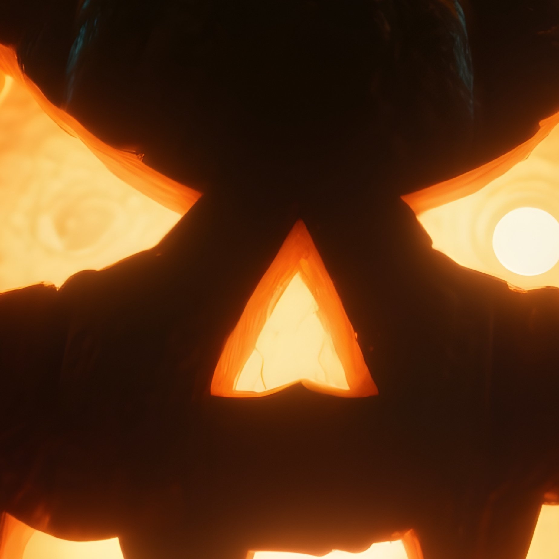 A Carved Pumpkin Jack O Lantern Halloween Jack O Lantern - Full Resolution Quality Preview