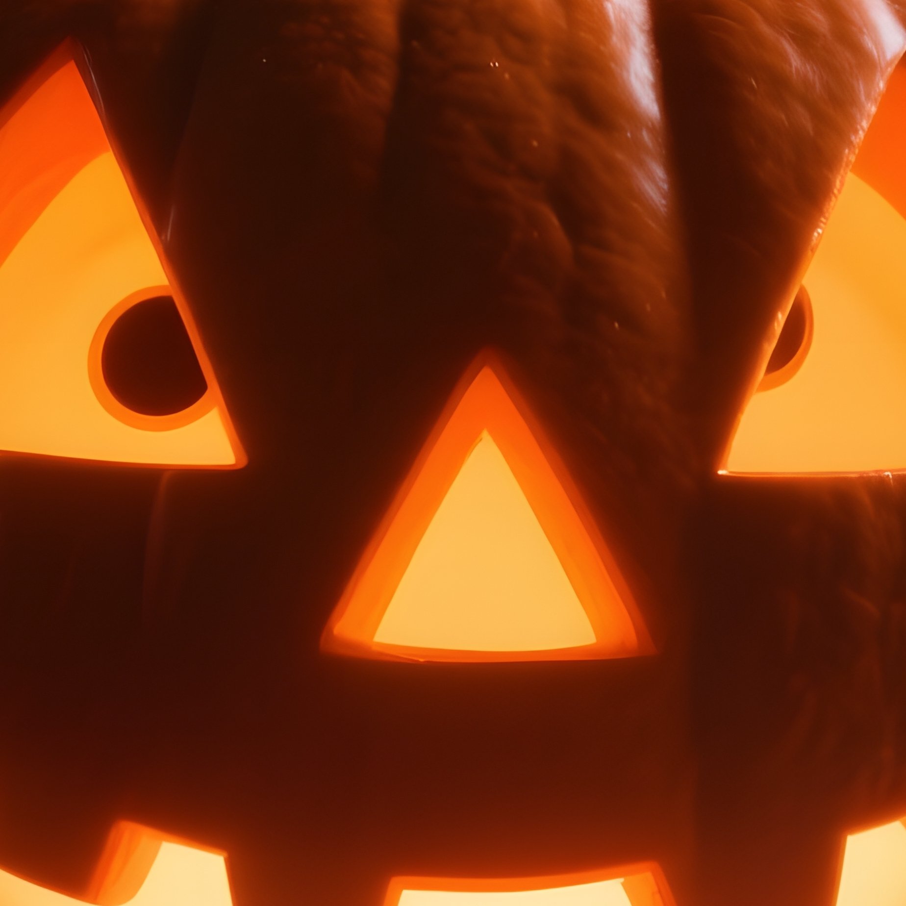 A Carved Pumpkin Jack O Lantern Halloween Jack O Lantern - Full Resolution Quality Preview