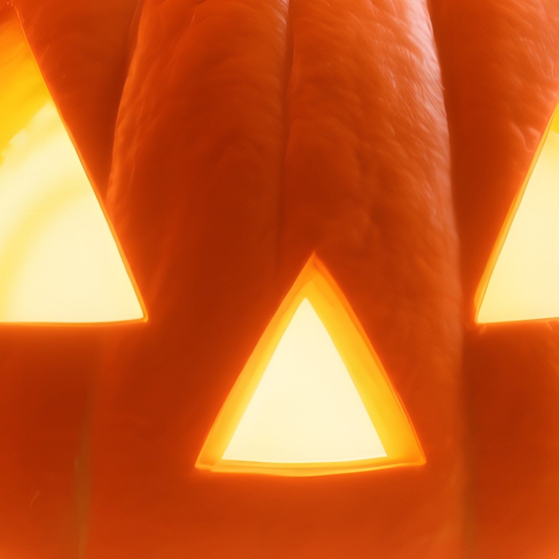 A Carved Pumpkin Jack O Lantern Halloween Pumpkin - Full Resolution Quality Preview