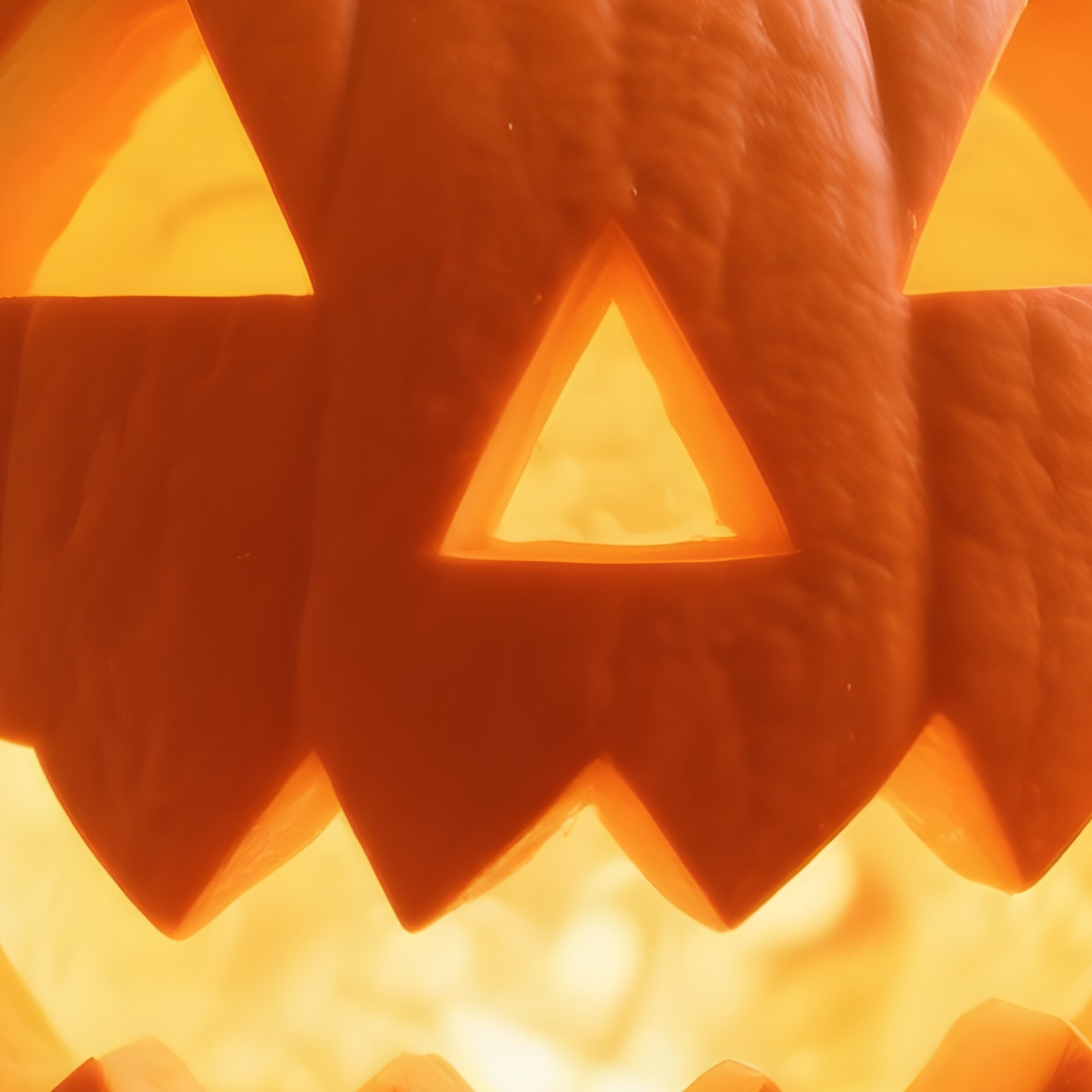 A Carved Pumpkin Jack O Lantern Halloween Pumpkin - Full Resolution Quality Preview