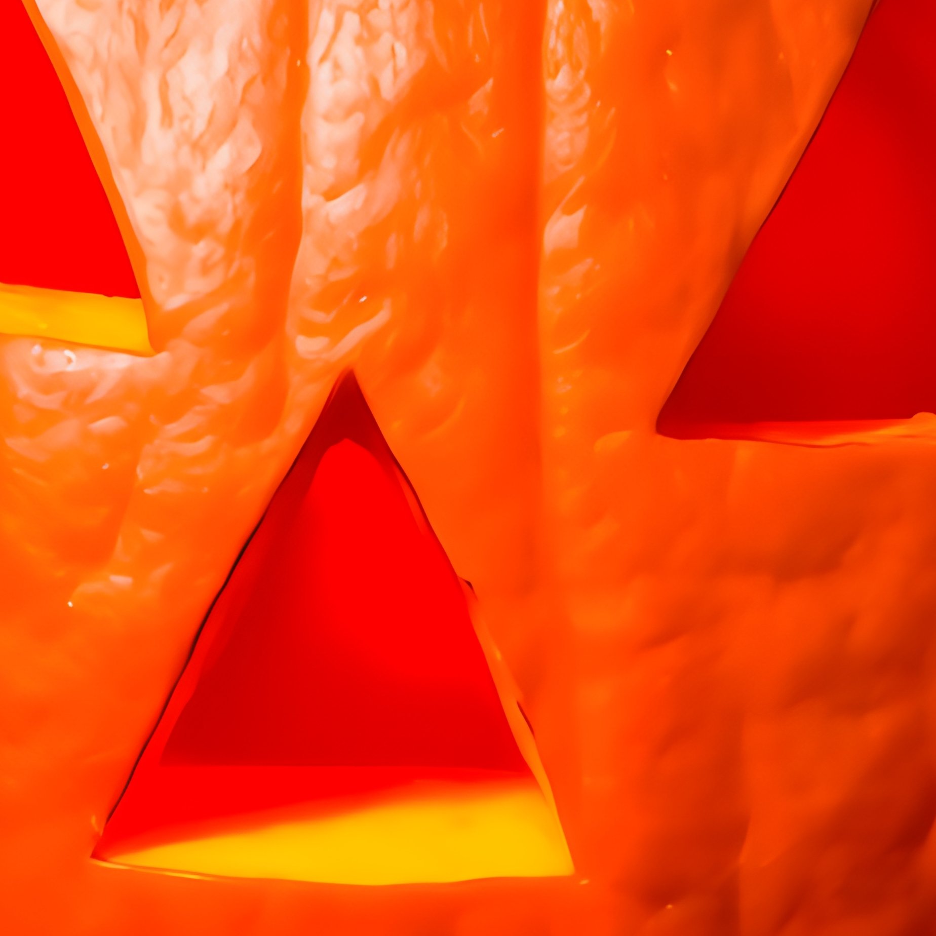 A Carved Pumpkin Jack O Lantern Halloween Pumpkin - Full Resolution Quality Preview