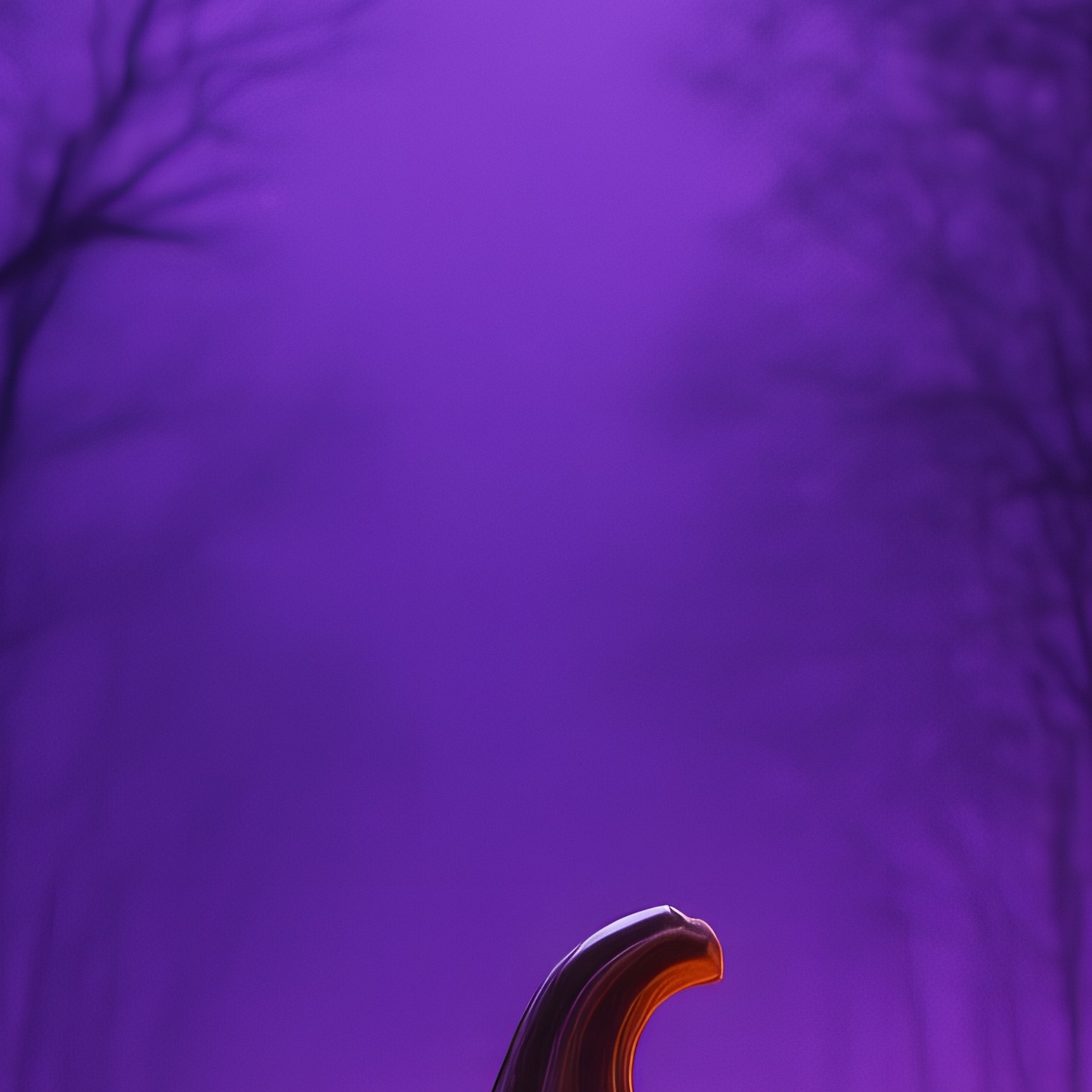 A Carved Pumpkin Jack O Lantern In A Forest Halloween Pumpkin - Full Resolution Quality Preview