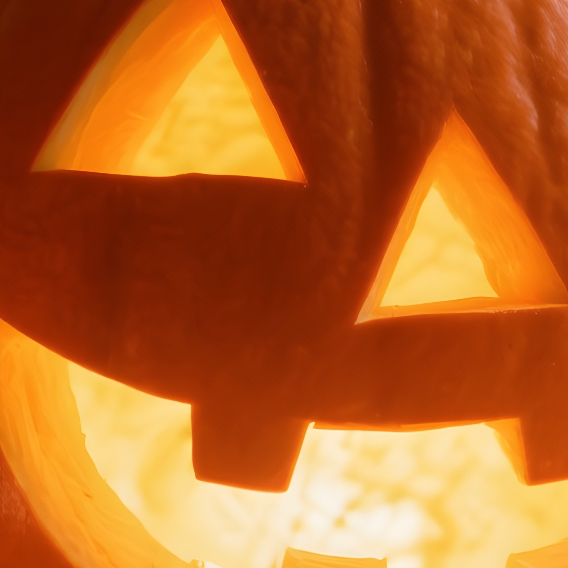 A Carved Pumpkin Lantern Halloween Pumpkin - Full Resolution Quality Preview
