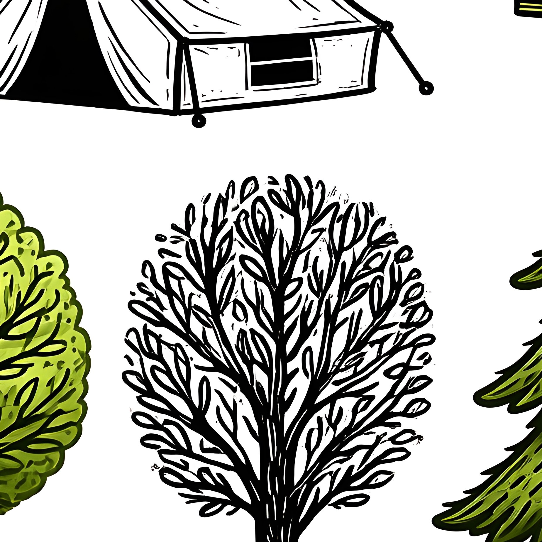 A Collection Of Tree Illustrations For A Camp Scenes Creation Kit - Full Resolution Quality Preview