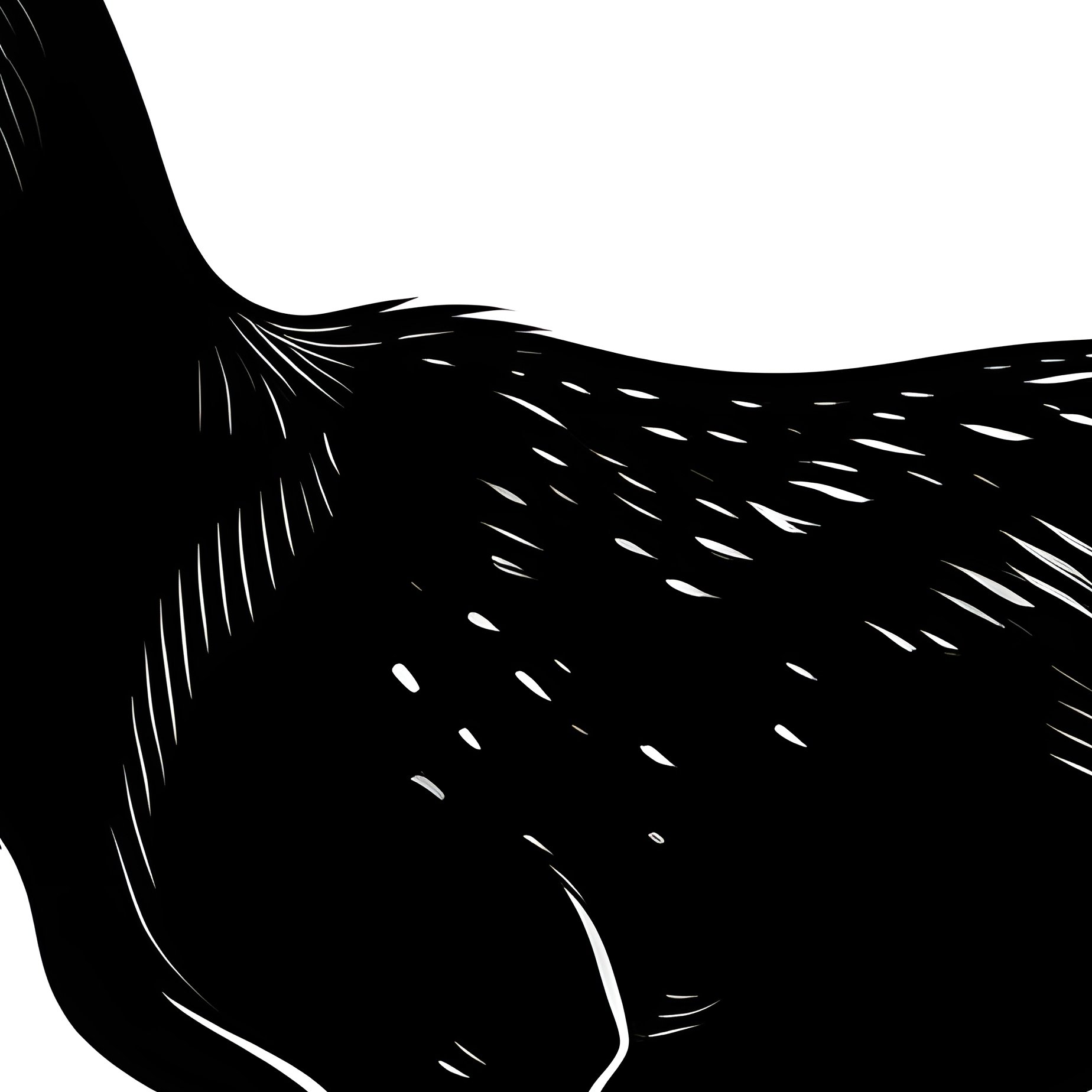 A Deer Deer Antlers - Full Resolution Quality Preview