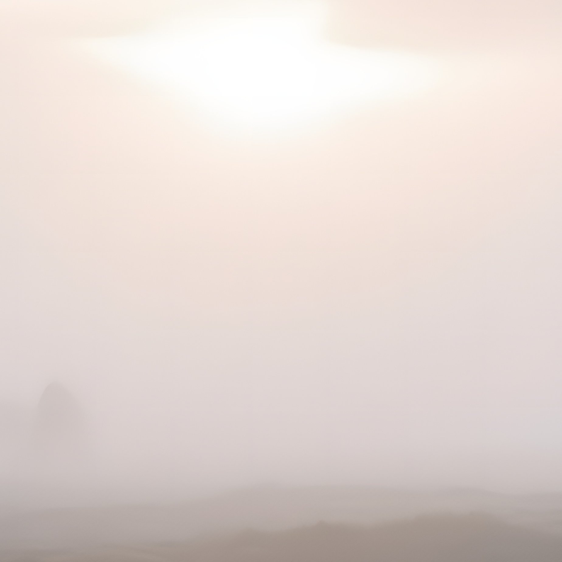 A Dense Foggy Moor At Dawn, Low Lying Clouds Hugging The Ground, Pale Sunlight Breaking Through To - Full Resolution Quality Preview