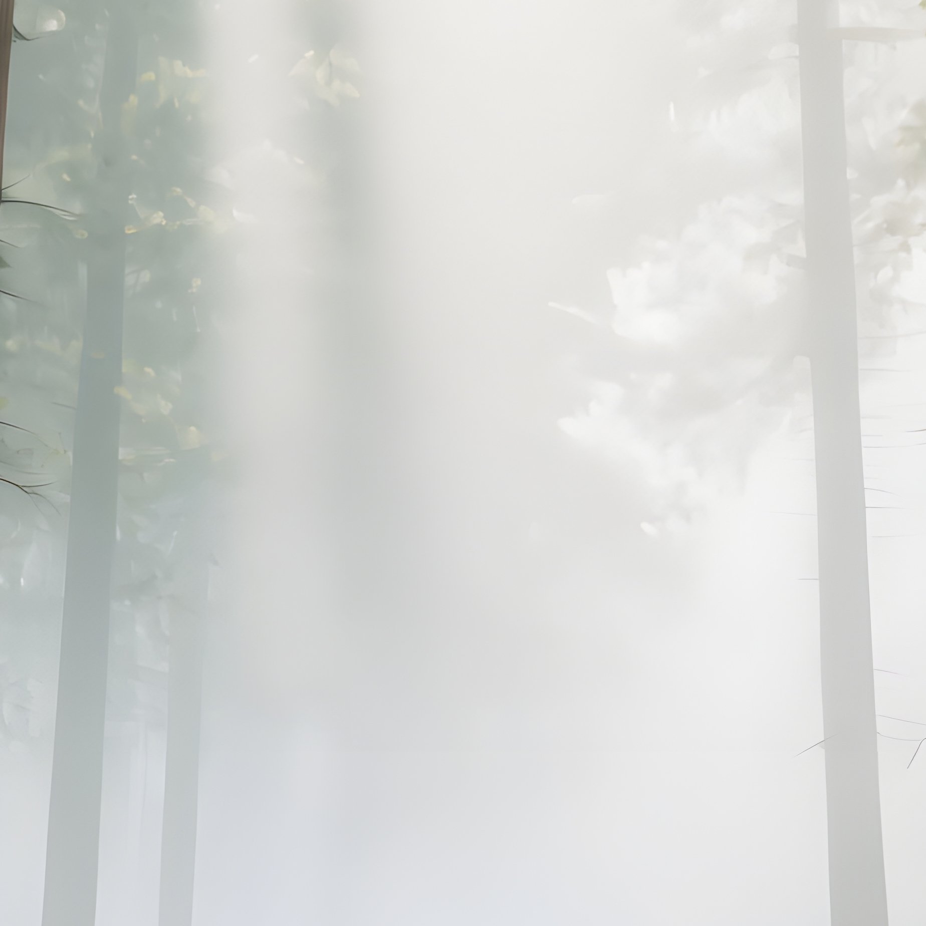 A Dense Forest Scene Forest Nature - Full Resolution Quality Preview