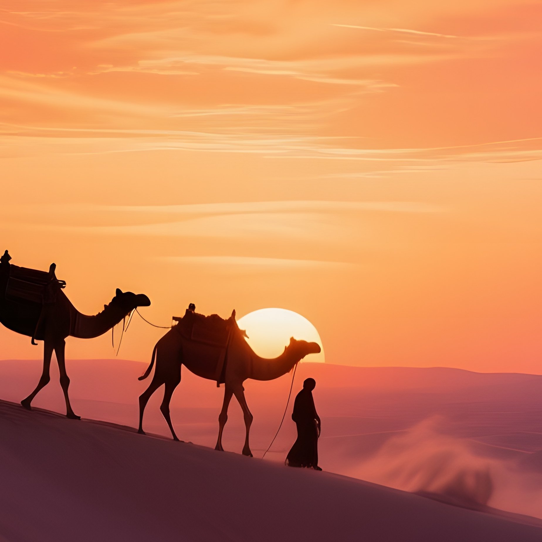 A Desert Caravan Crossing Dunes At Sunset, Camels Silhouetted Against A Sky Ablaze With Orange And - Full Resolution Quality Preview