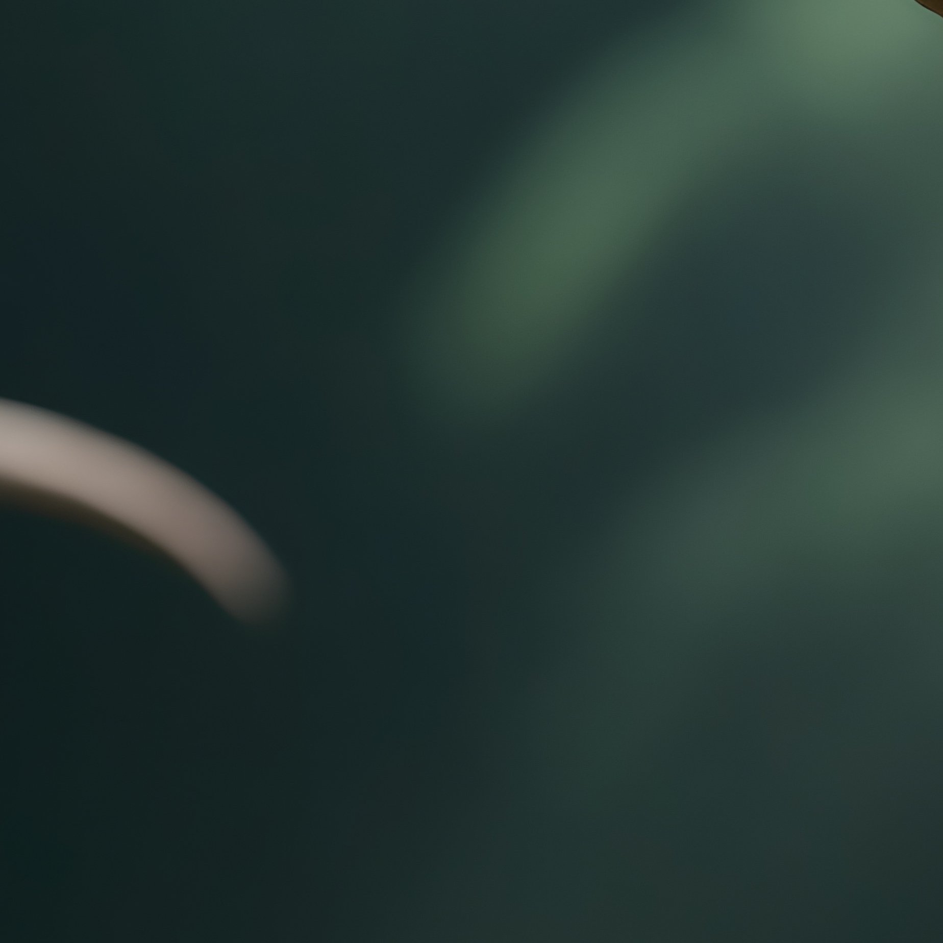 A Dinosaur Reminiscent Of Tuojiangosaurus - Full Resolution Quality Preview