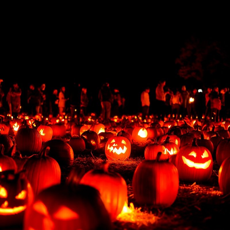 A Display Of Carved Pumpkins Lit From Within Halloween Pumpkin