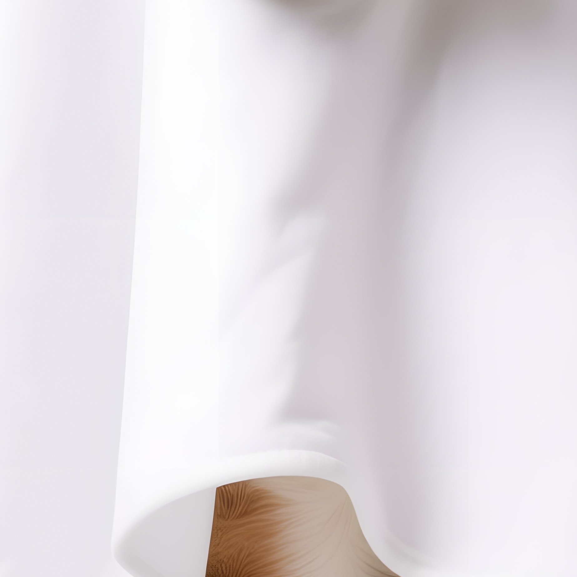 A Dog Dressed As A Ghost Dog Ghost - Full Resolution Quality Preview