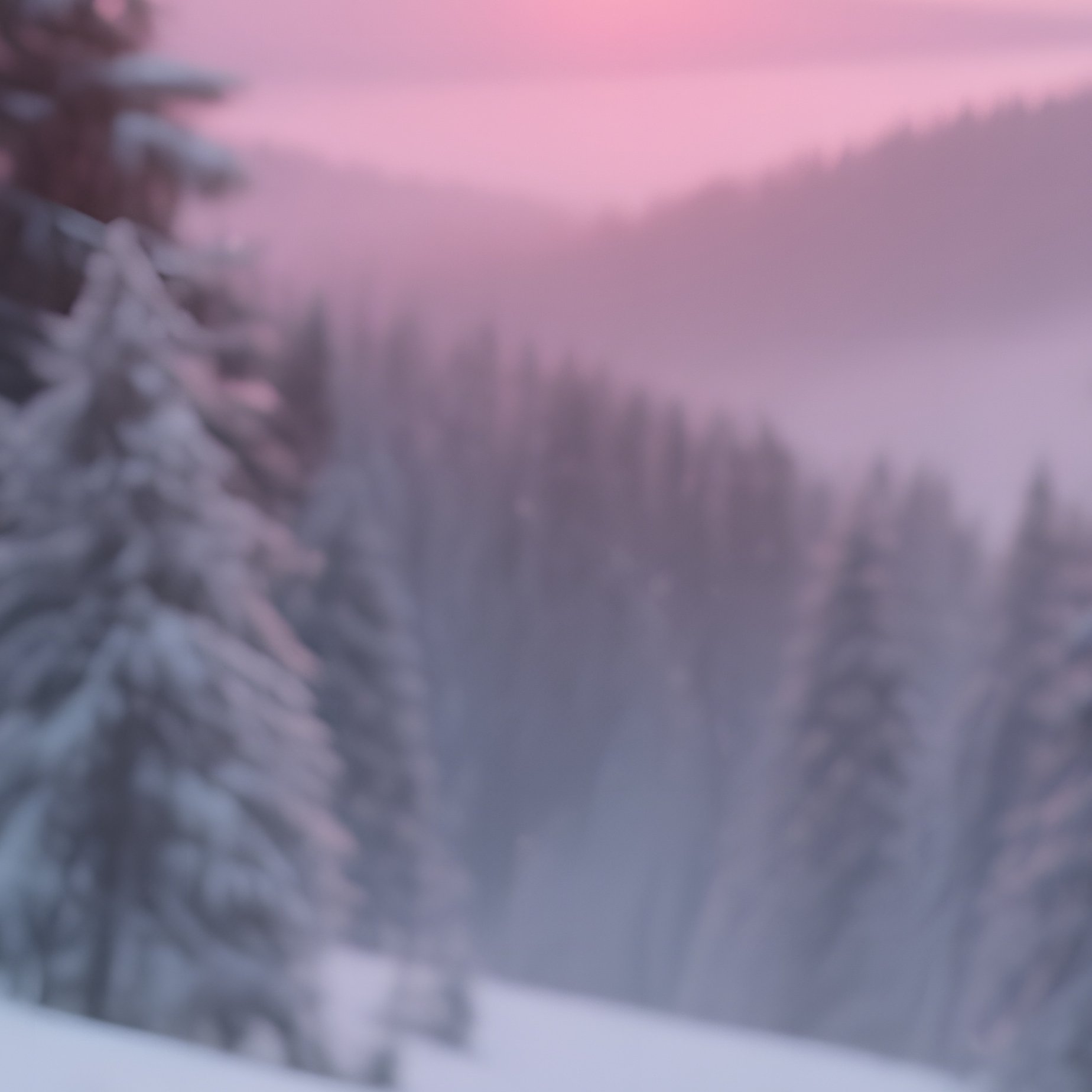 A Dramatic Winter Scene In The Black Forest With Snow Covered Pines And A Lone Red Capped Fly - Full Resolution Quality Preview