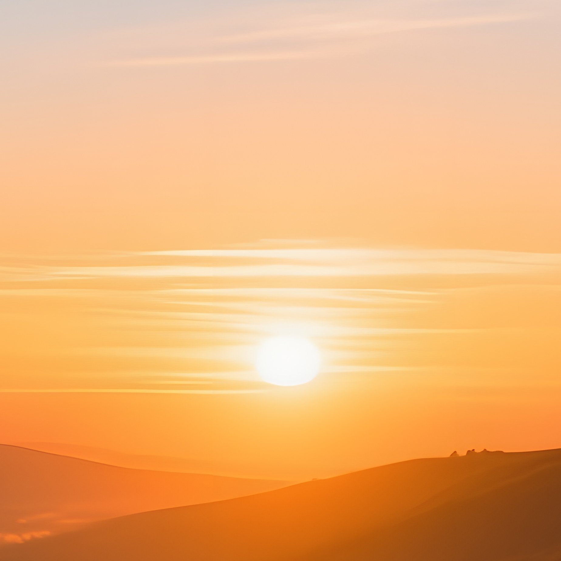 A Group Of People Watching A Sunset Sunset Nature - Full Resolution Quality Preview