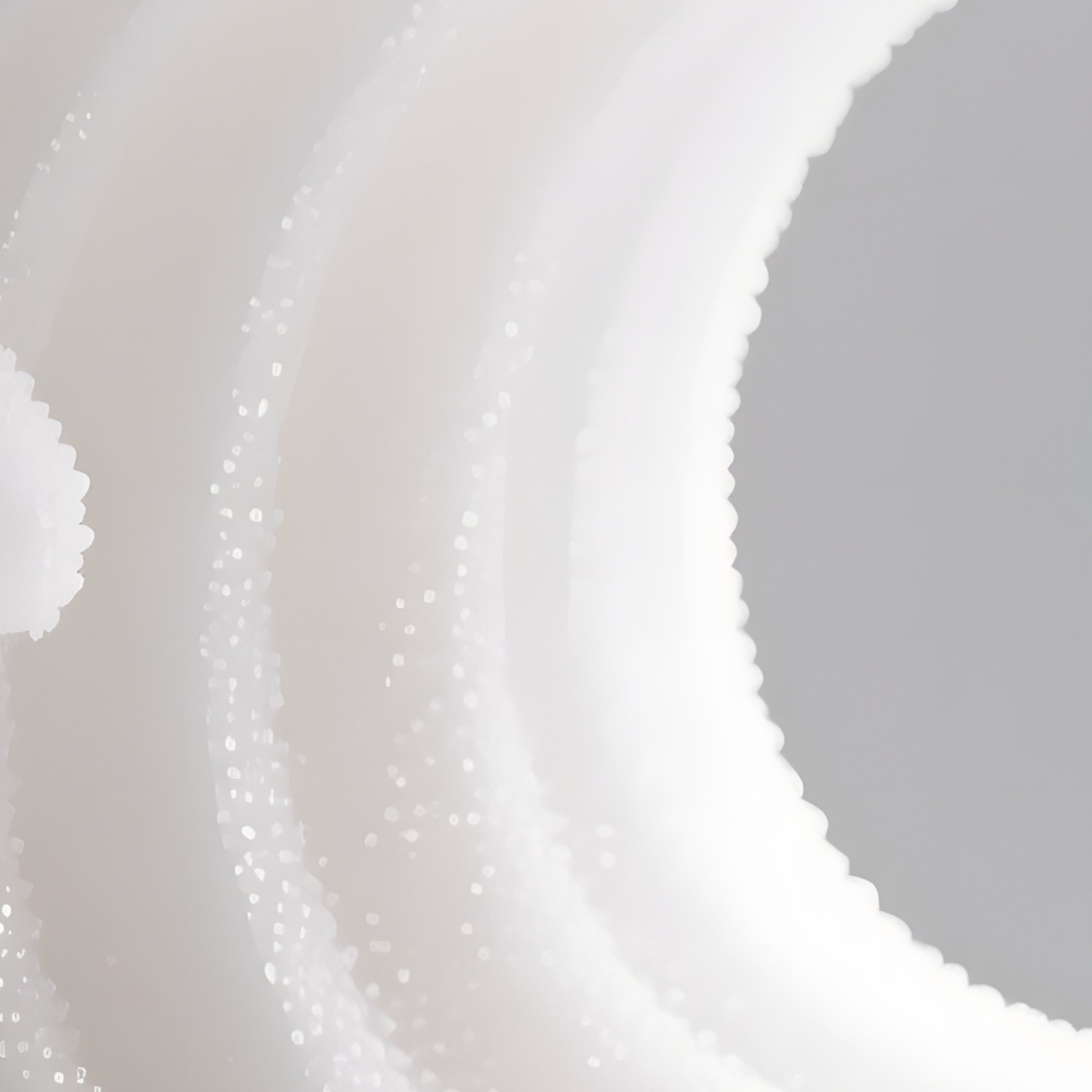 A High‑Key Studio Photograph Of A Minimalist Sugar Sculpture Shaped Like An Abstract Wave, Pure - Full Resolution Quality Preview