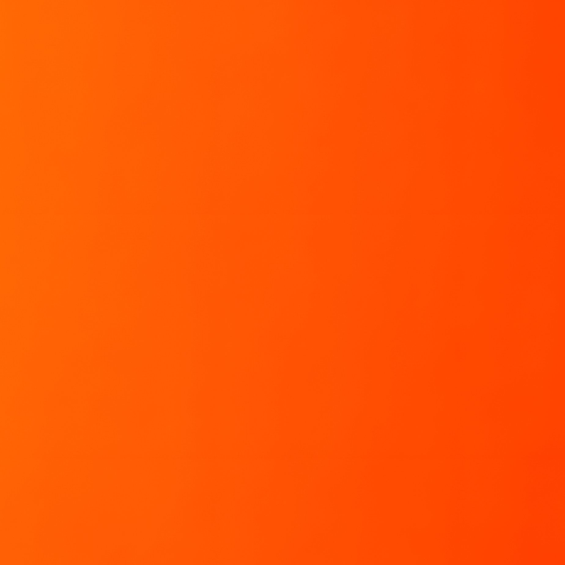 A Human Skeleton Skeleton Autumn - Full Resolution Quality Preview