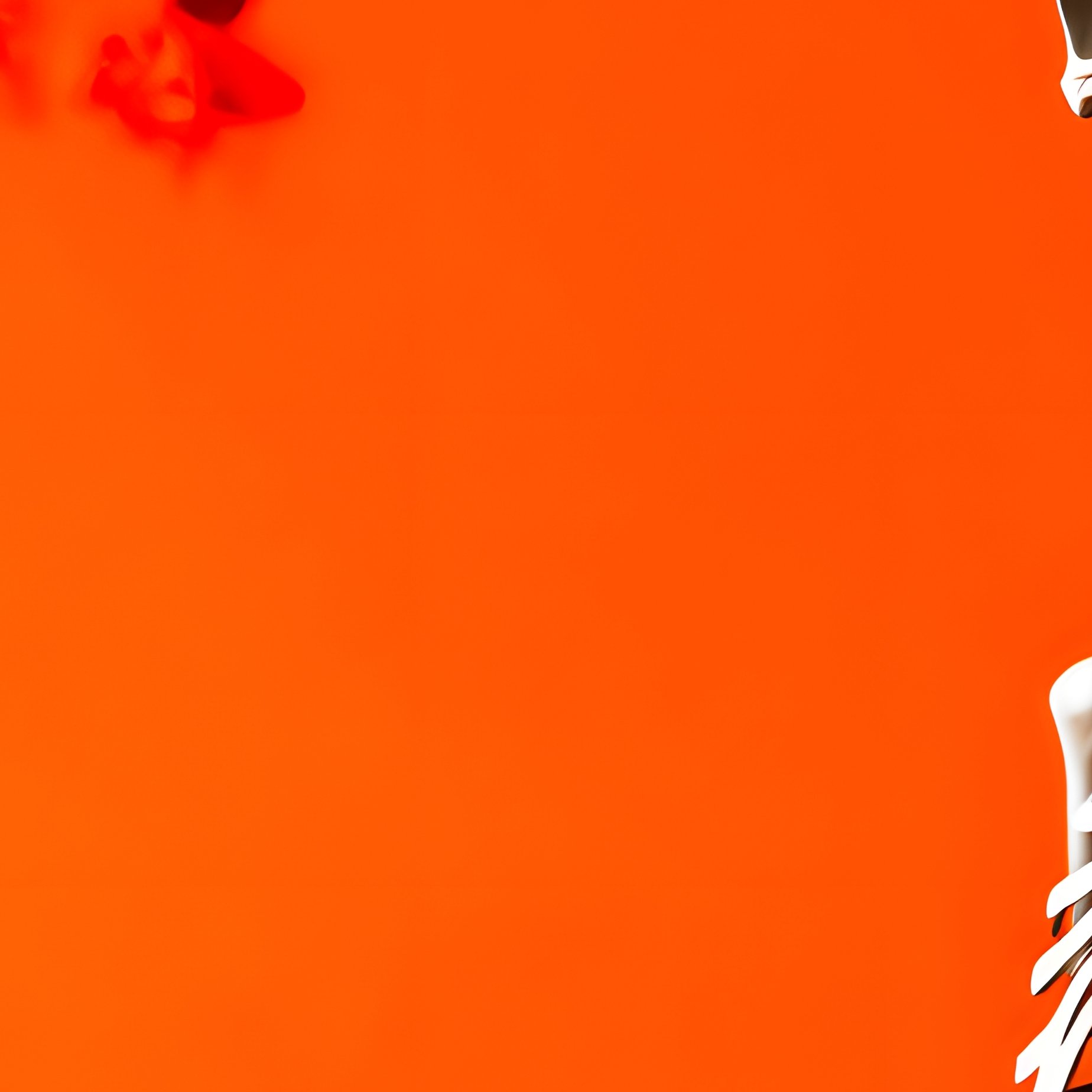 A Human Skeleton Skeleton Orange Background - Full Resolution Quality Preview