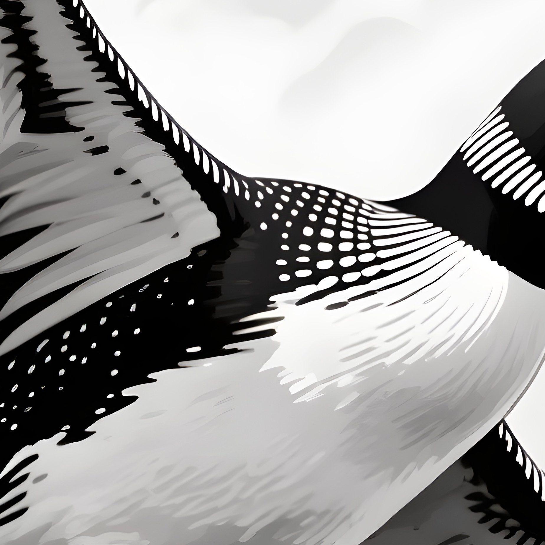 A Illustration Of A Common Loon In Flight - Full Resolution Quality Preview