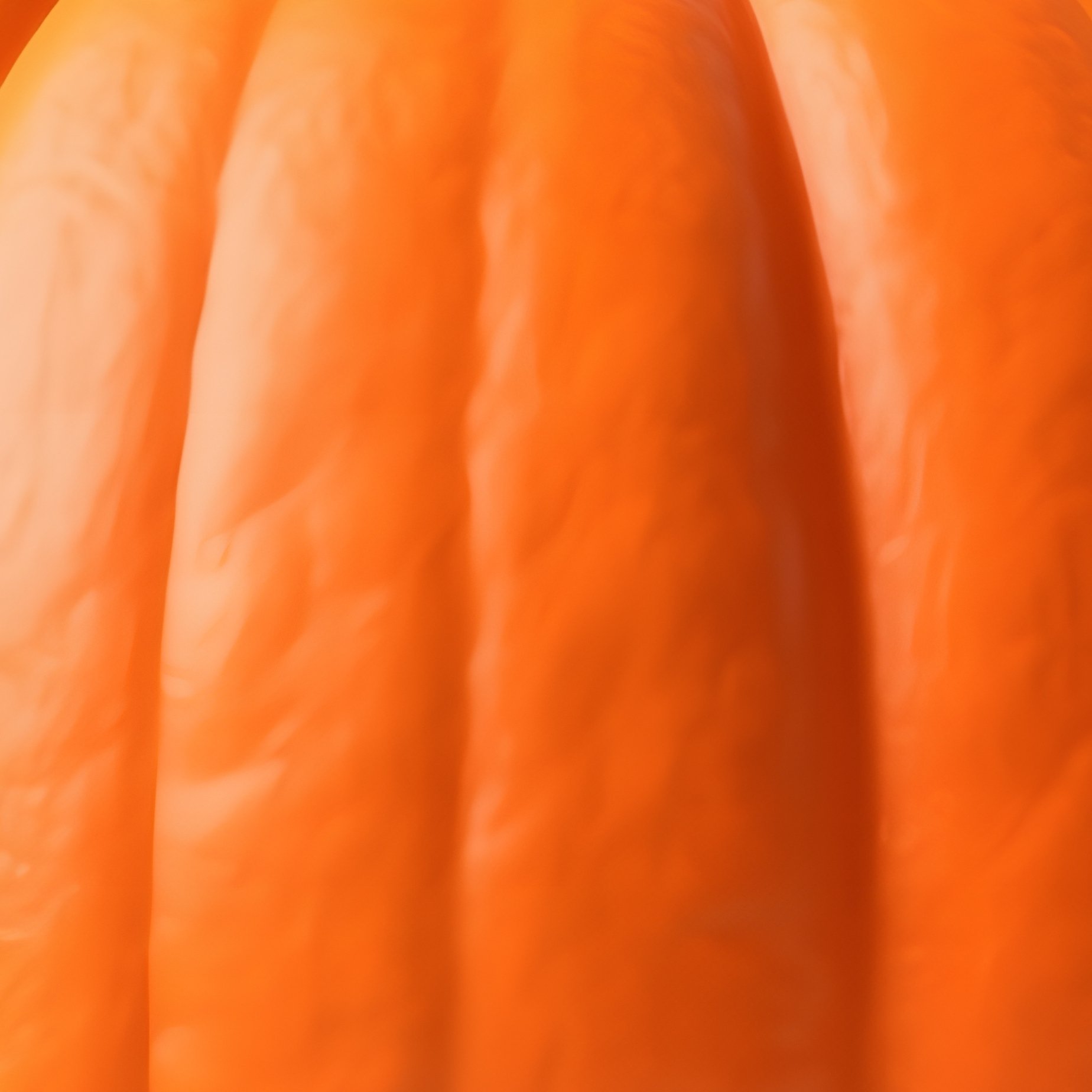 A Large Orange Pumpkin Pumpkin Autumn - Full Resolution Quality Preview