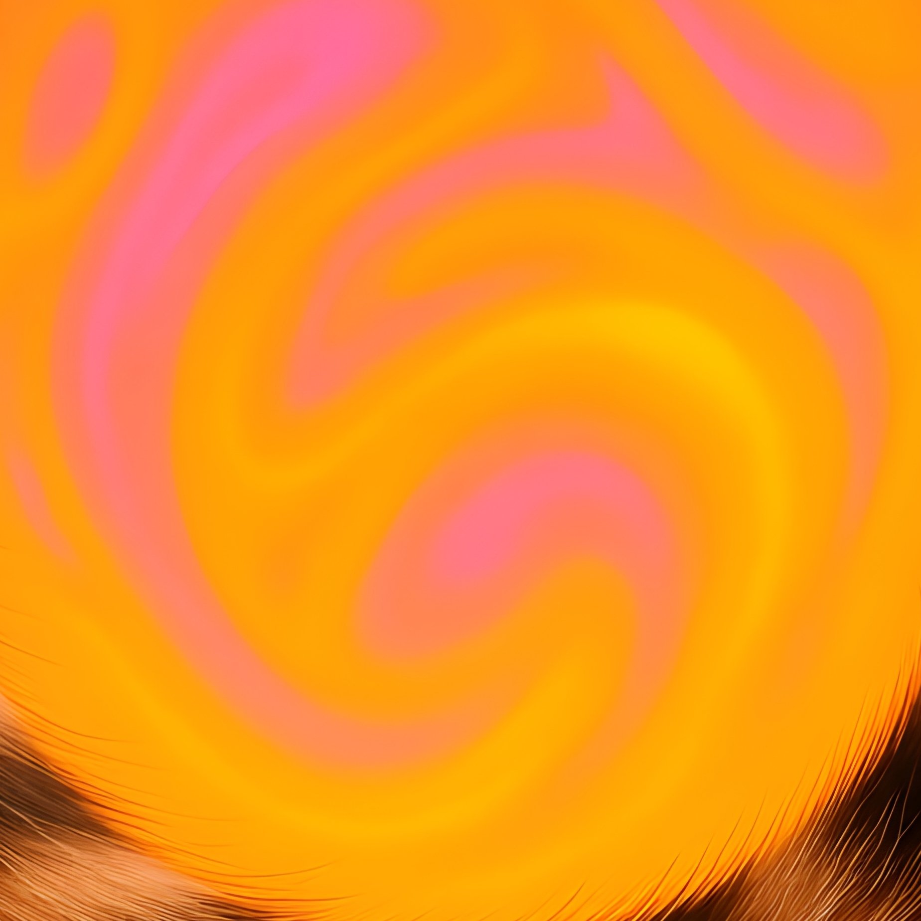 A Manx Cat Tail Flicking With Intense Focus On A Surreal Art Piece - Full Resolution Quality Preview