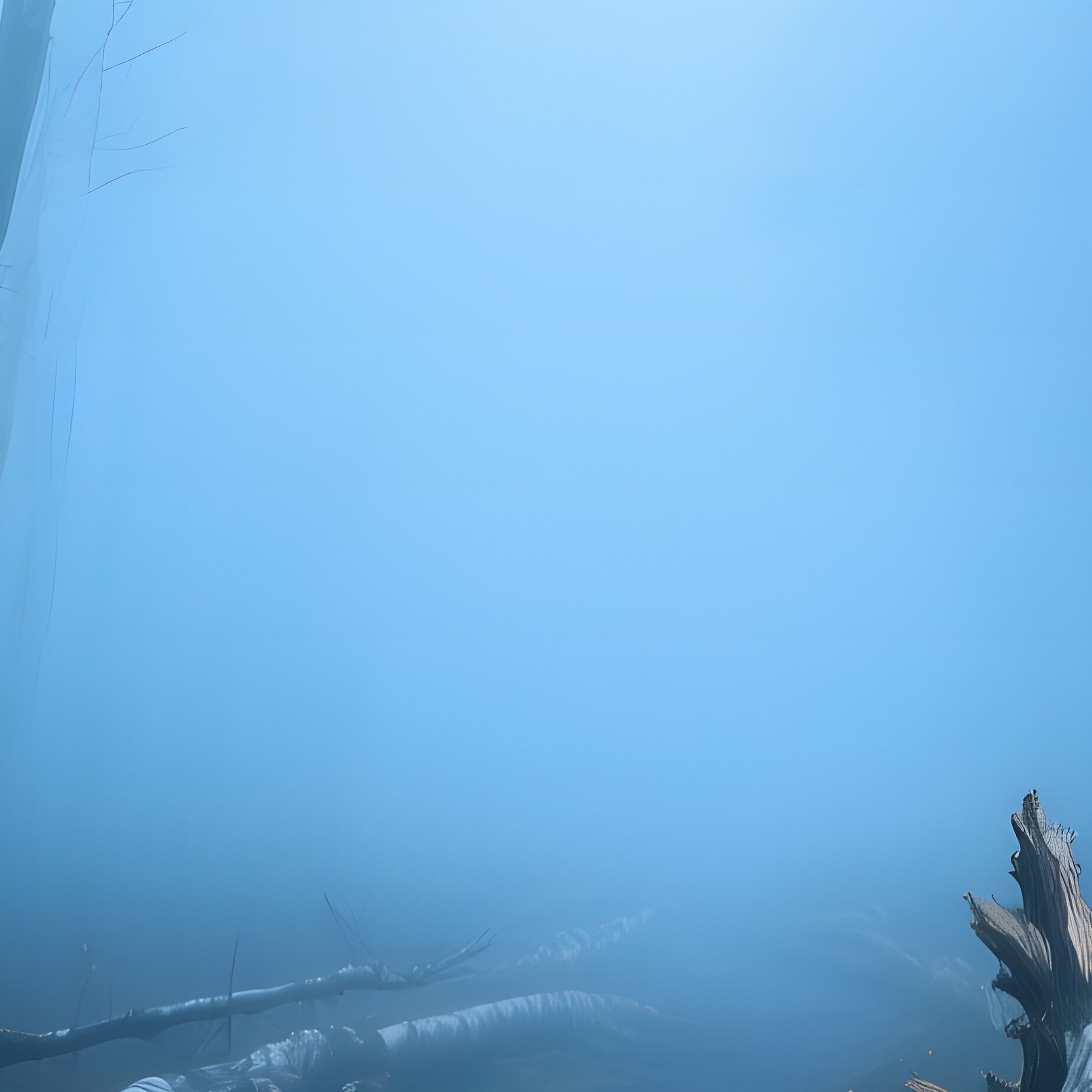 A Misty Early‑Morning Forest Path Lined With Fallen Birch Trunks, Bark Peeling To Reveal Creamy - Full Resolution Quality Preview