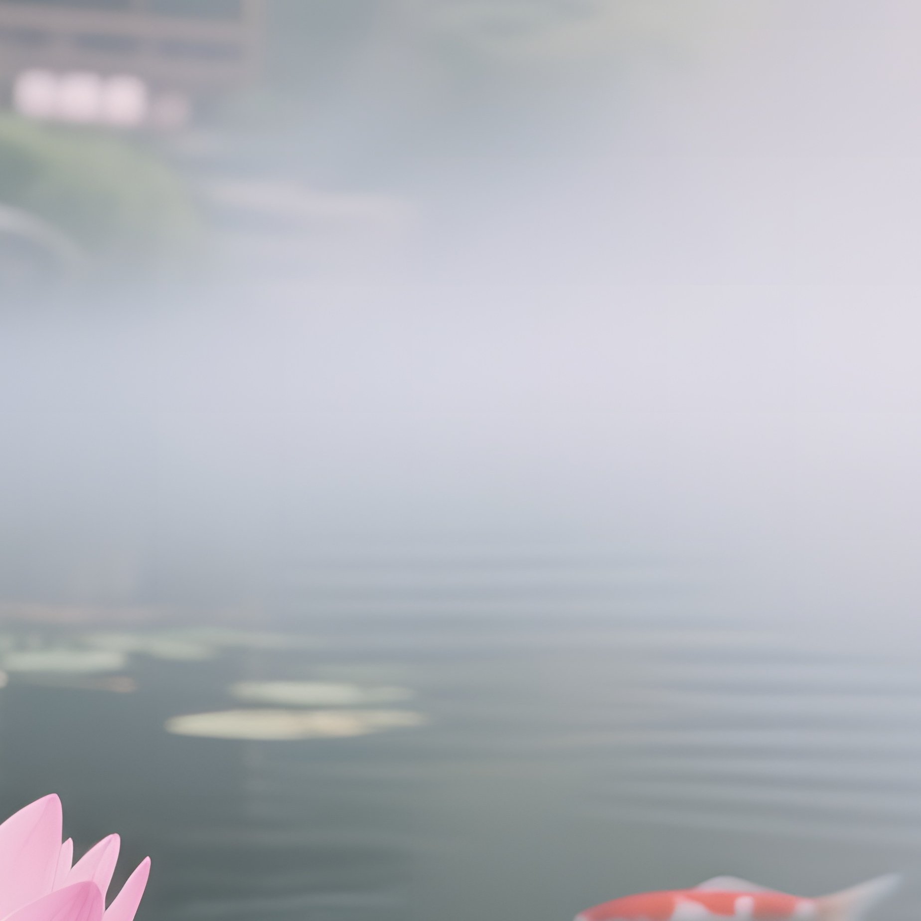 A Misty Early‑Morning Japanese Garden Pond, Soft Pink Lotus Flowers Opening Slowly, Koi Fish - Full Resolution Quality Preview