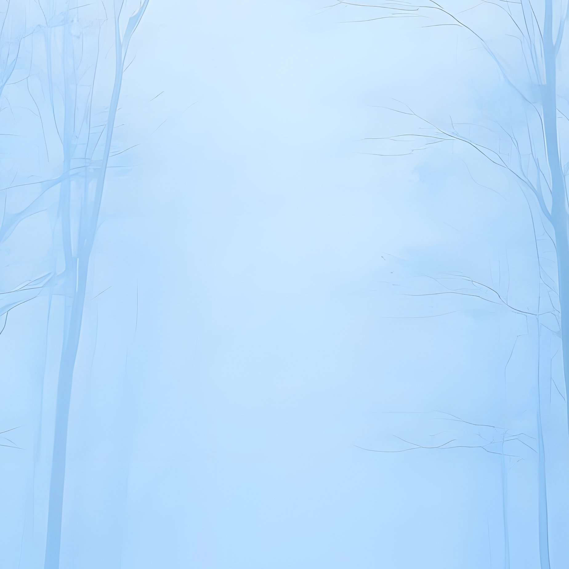 A Misty Forest Scene Forest Mist - Full Resolution Quality Preview
