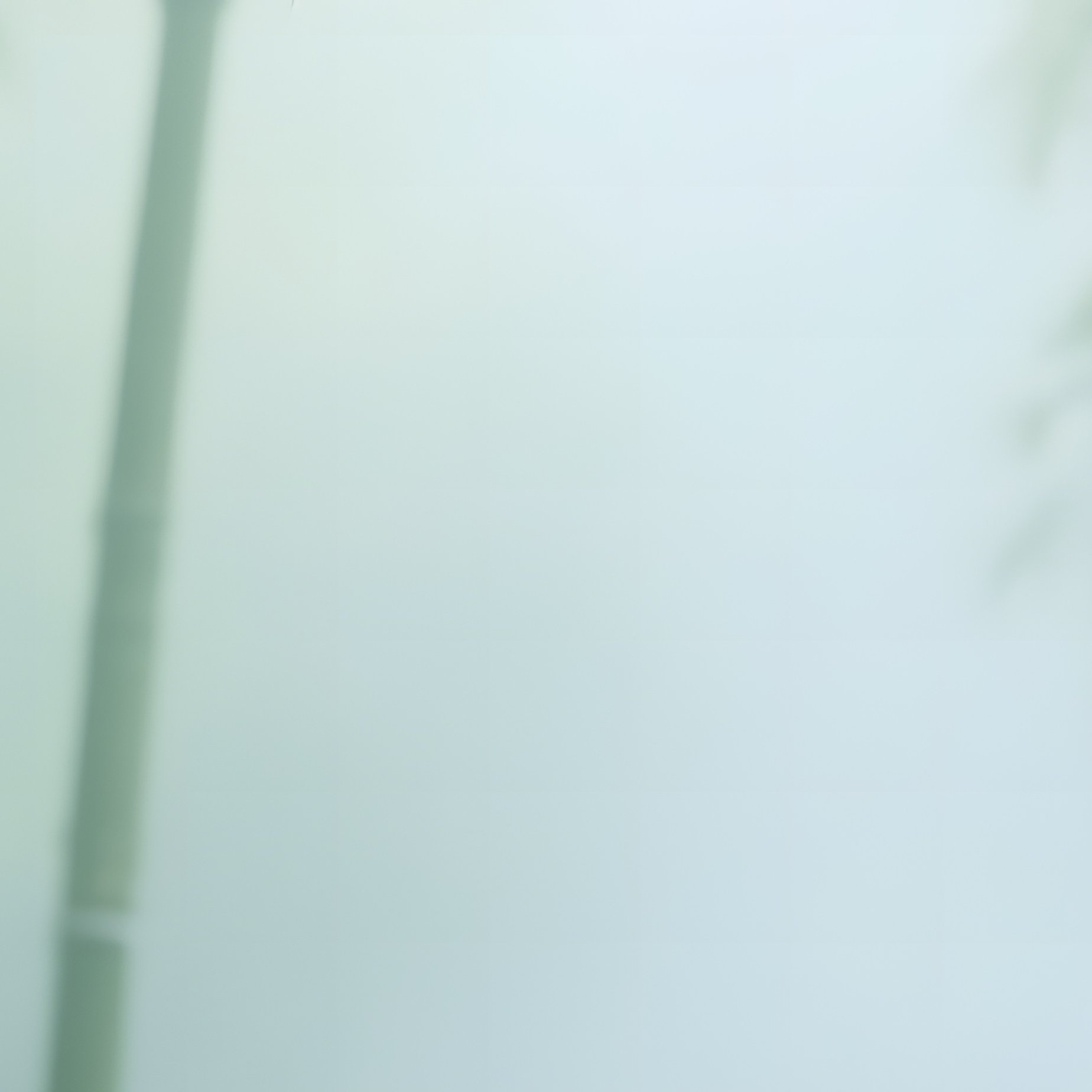 A Misty Morning In A Bamboo Grove During Early Spring, Tall Stalks Covered In Dew, Soft Light - Full Resolution Quality Preview