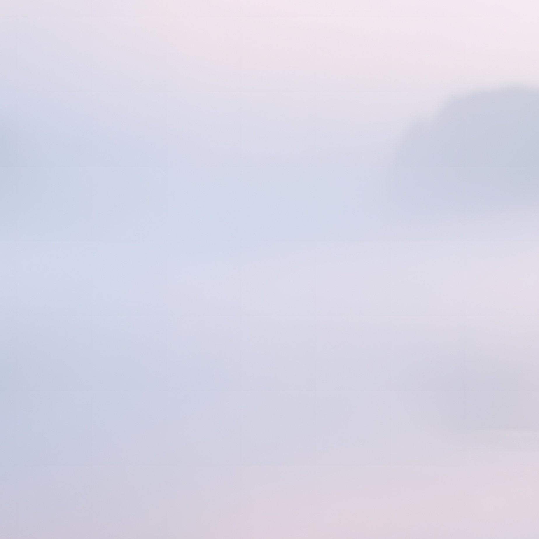A Peaceful Early Morning Scene With Mist Hovering Above A Lake, Delicate Pink Water Lilies Floating - Full Resolution Quality Preview