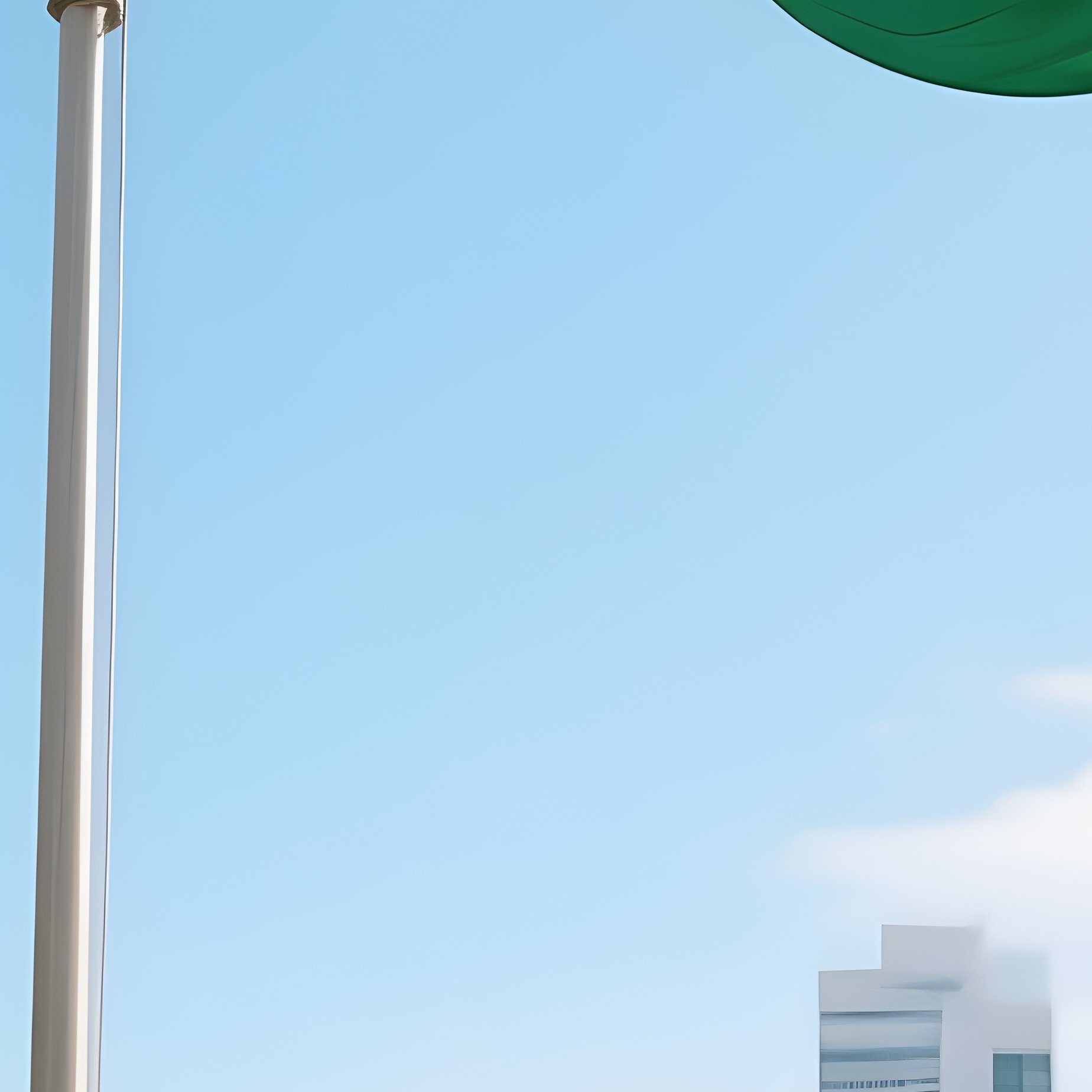 A Photorealistic Brazilian Flag Waving On A Tall Pole Over A Sunny City Park With Palm Trees. - Full Resolution Quality Preview