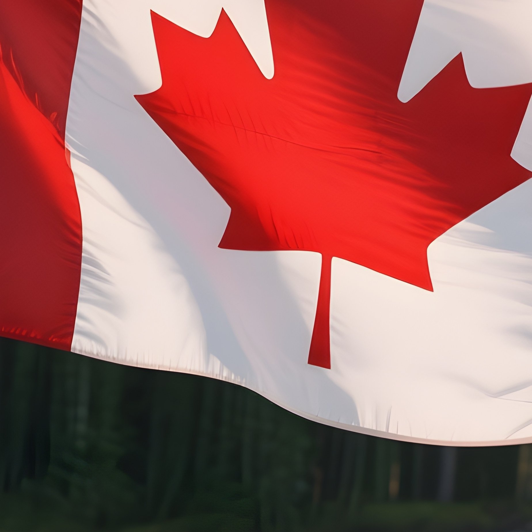 A Photorealistic Canadian Flag Waving On A Lakeshore Dock With Pine Forest Behind. - Full Resolution Quality Preview