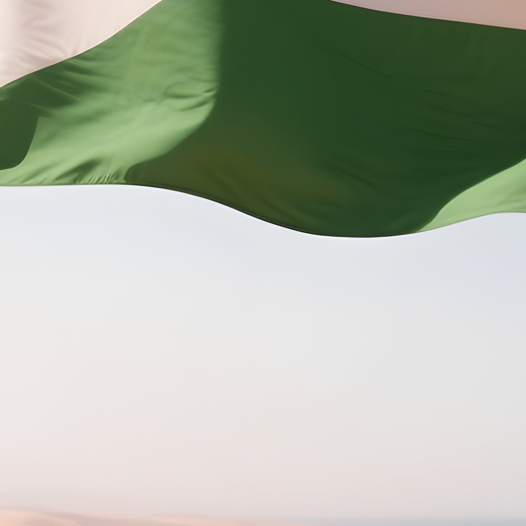 A Photorealistic Djiboutian Flag Fluttering Over A Rocky Coastal Desert. - Full Resolution Quality Preview