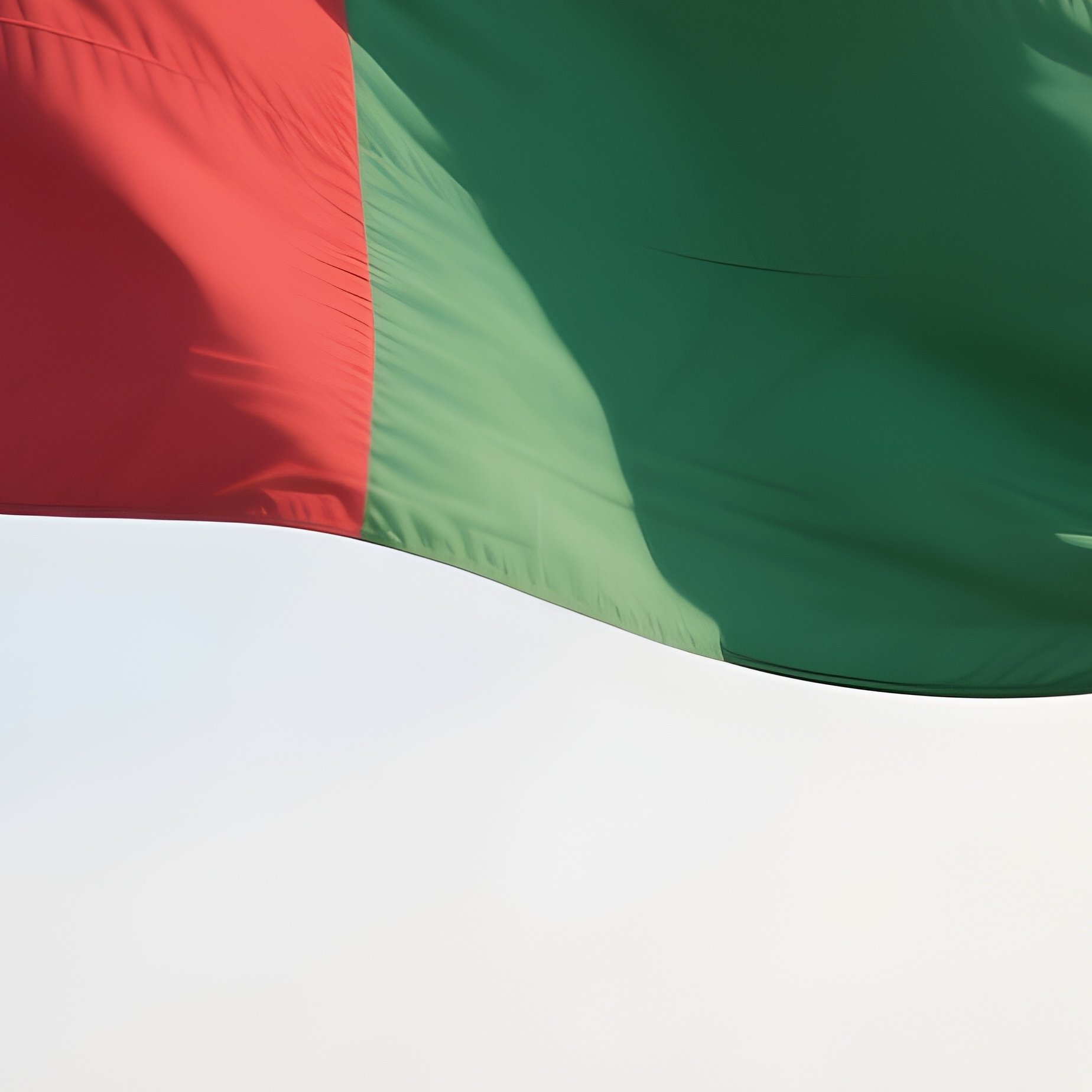 A Photorealistic Guinea Bissau Flag Fluttering Near A Quiet Mangrove Shoreline. - Full Resolution Quality Preview