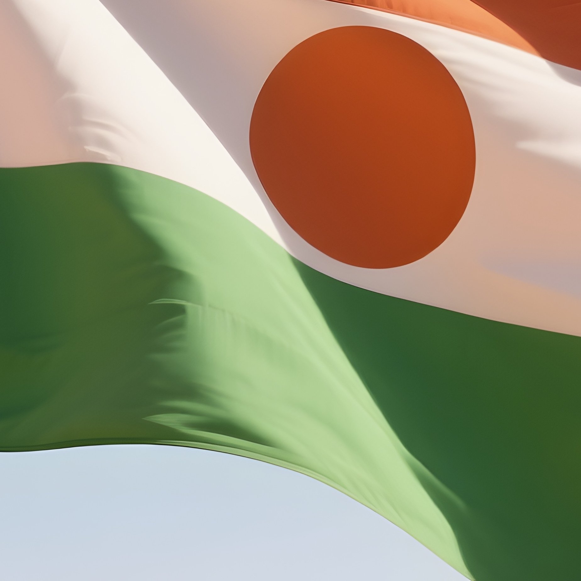A Photorealistic Nigerien Flag Waving Across An Open Desert Plain. - Full Resolution Quality Preview