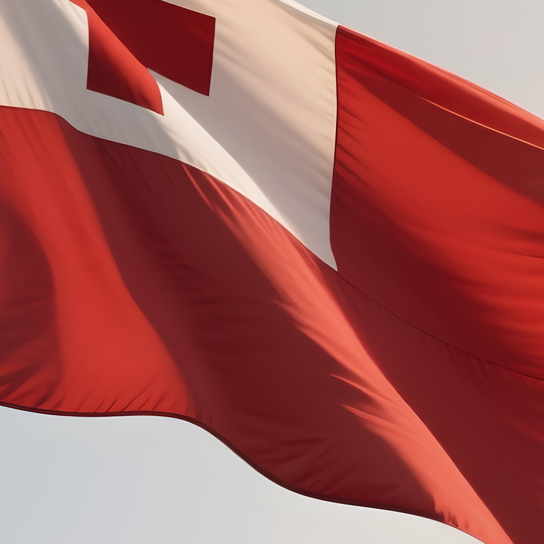 A Photorealistic Scene Of The National Flag Of Tonga Flying At Half Mast On A Tall Flagpole, Gently Lowering In The Wind Against A Respectful, Calm Backdrop With Soft Natural Lighting. - Full Resolution Quality Preview