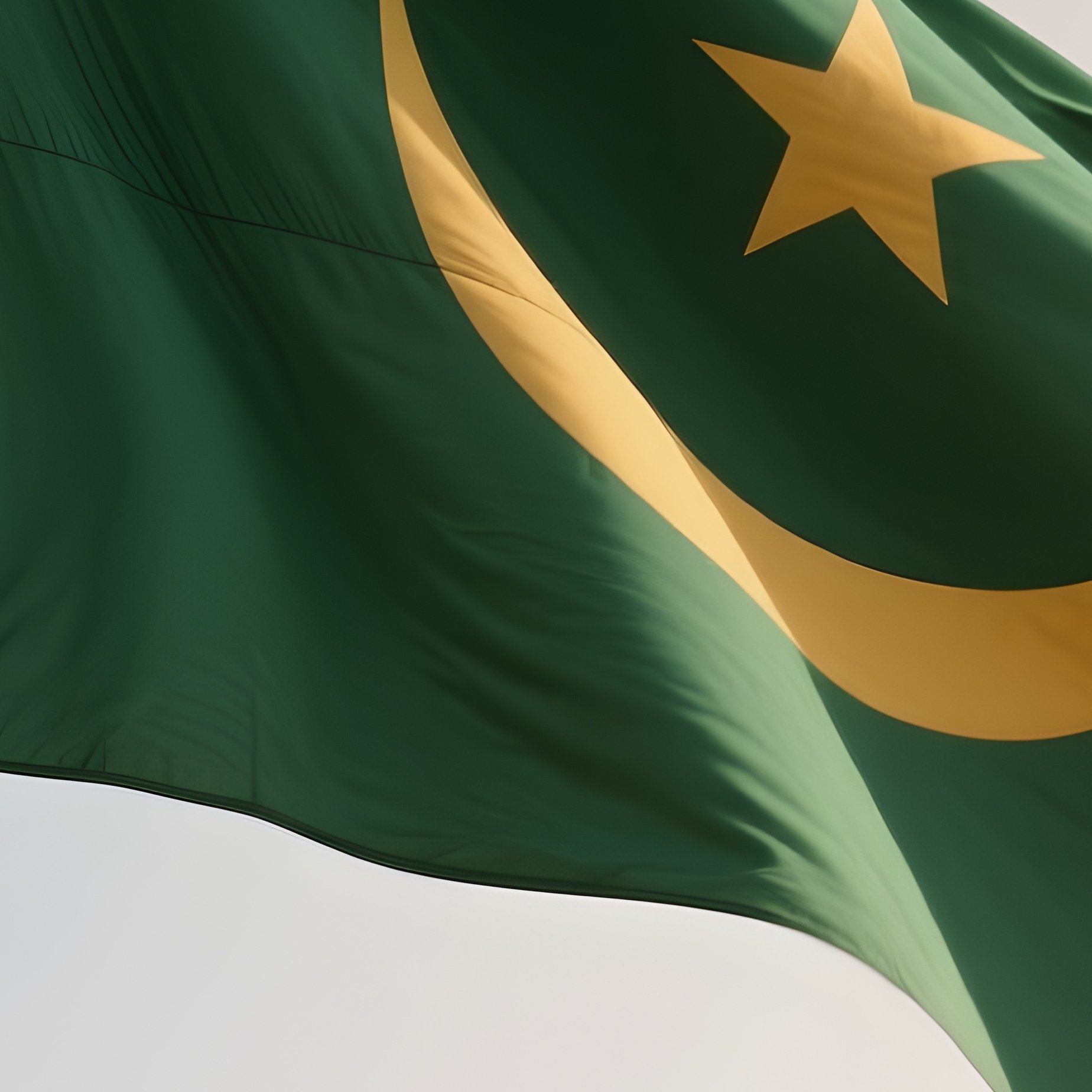 A Photorealistic Scene Of The National Flag Of Mauritania Flying At Half Mast On A Tall Flagpole, Gently Lowering In The Wind Against A Respectful, Calm Backdrop With Soft Natural Lighting. - Full Resolution Quality Preview