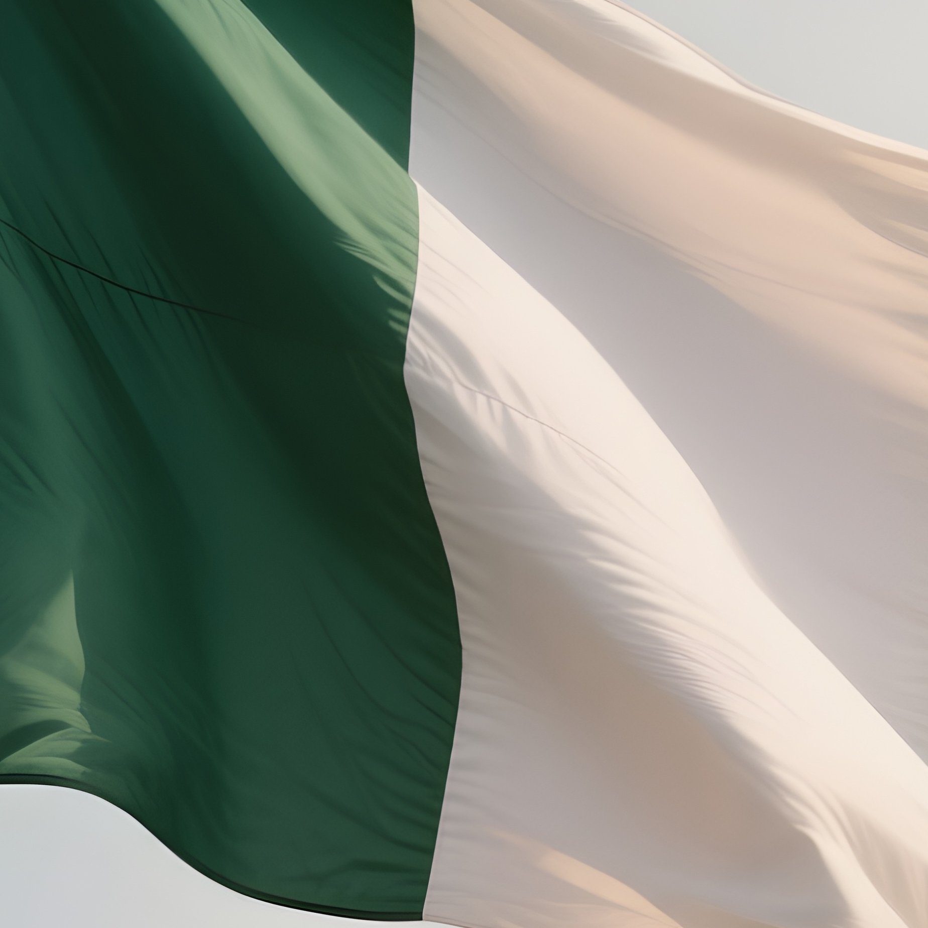 A Photorealistic Scene Of The National Flag Of Nigeria Flying At Half Mast On A Tall Flagpole, Gently Lowering In The Wind Against A Respectful, Calm Backdrop With Soft Natural Lighting. - Full Resolution Quality Preview