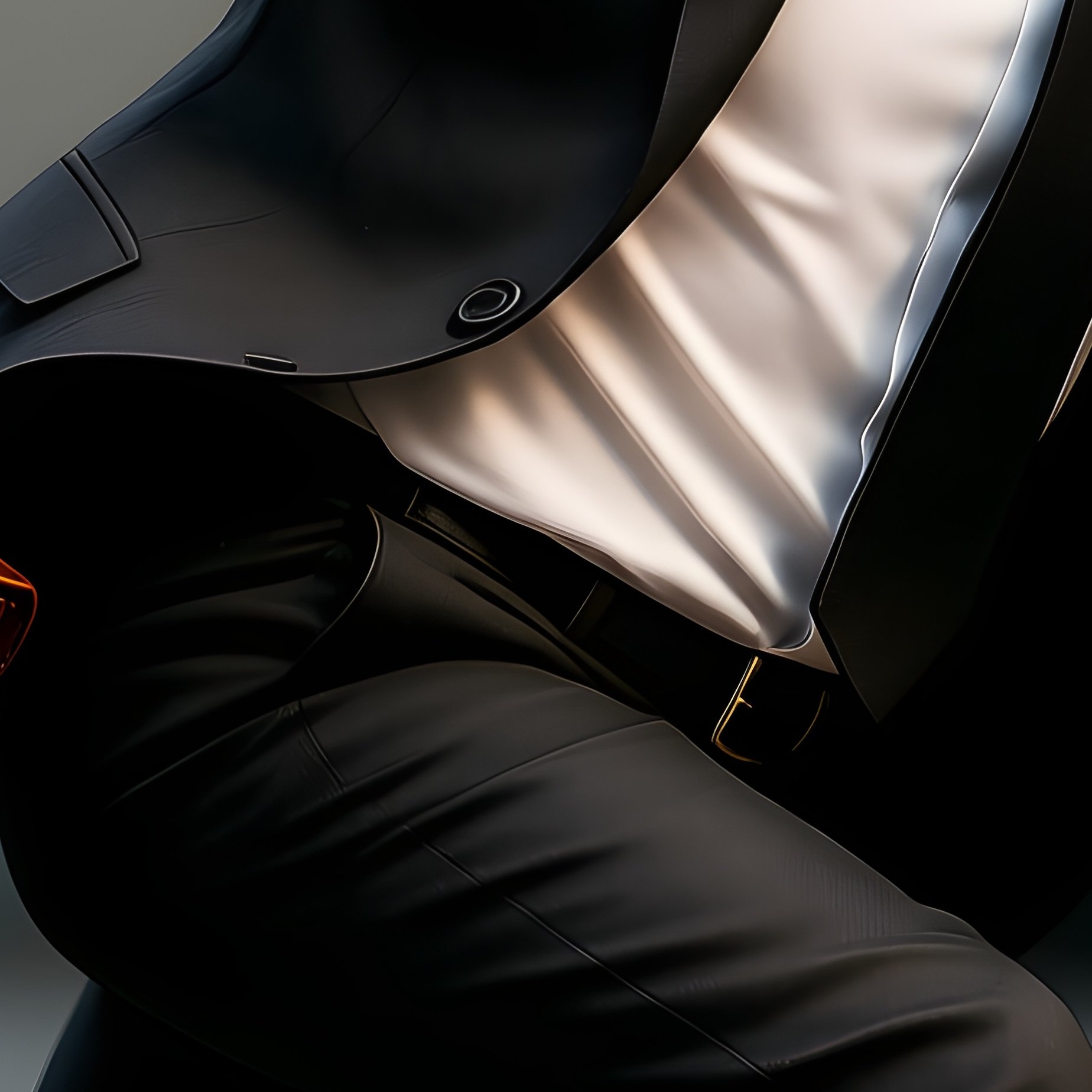 A Pigeon With A Briefcase Rushing To Work - Full Resolution Quality Preview