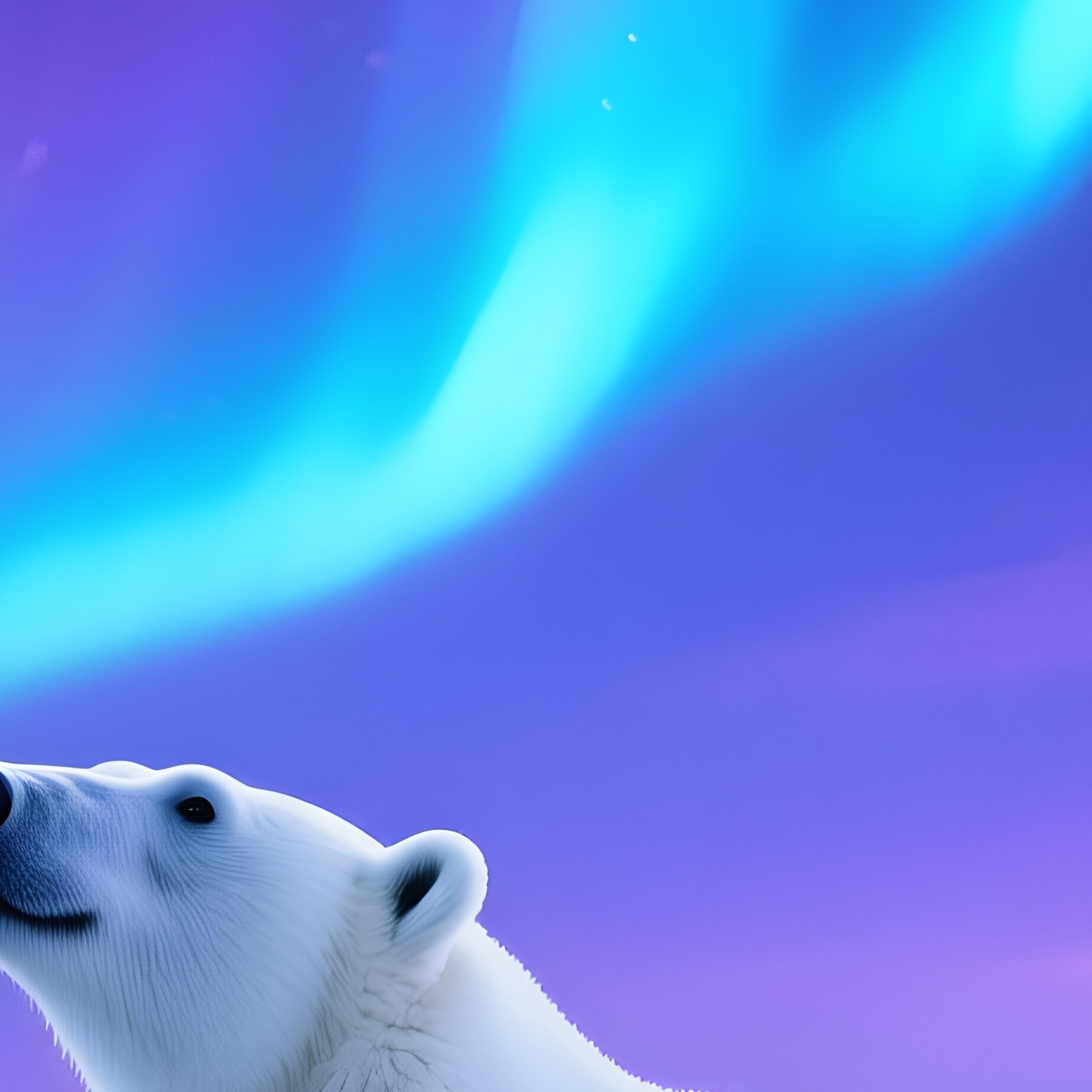 A Polar Bear Under Northern Lights - Full Resolution Quality Preview