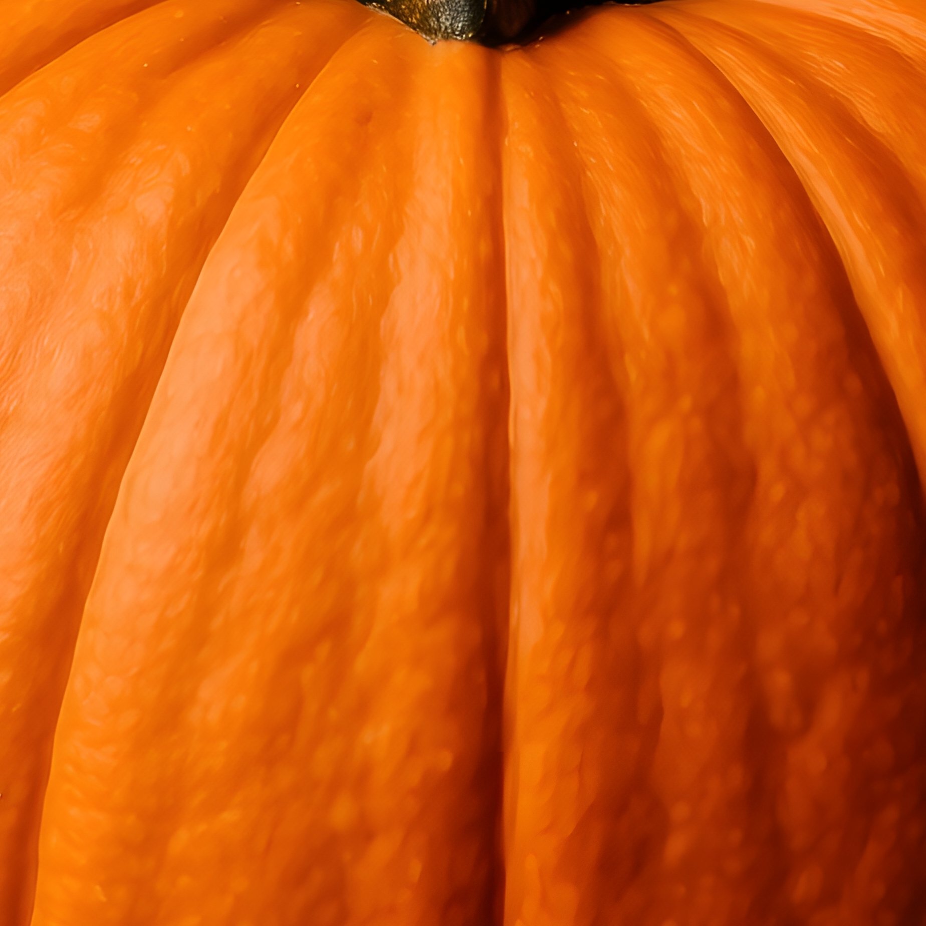 A Pumpkin Viewed From Above Pumpkin Vegetable - Full Resolution Quality Preview