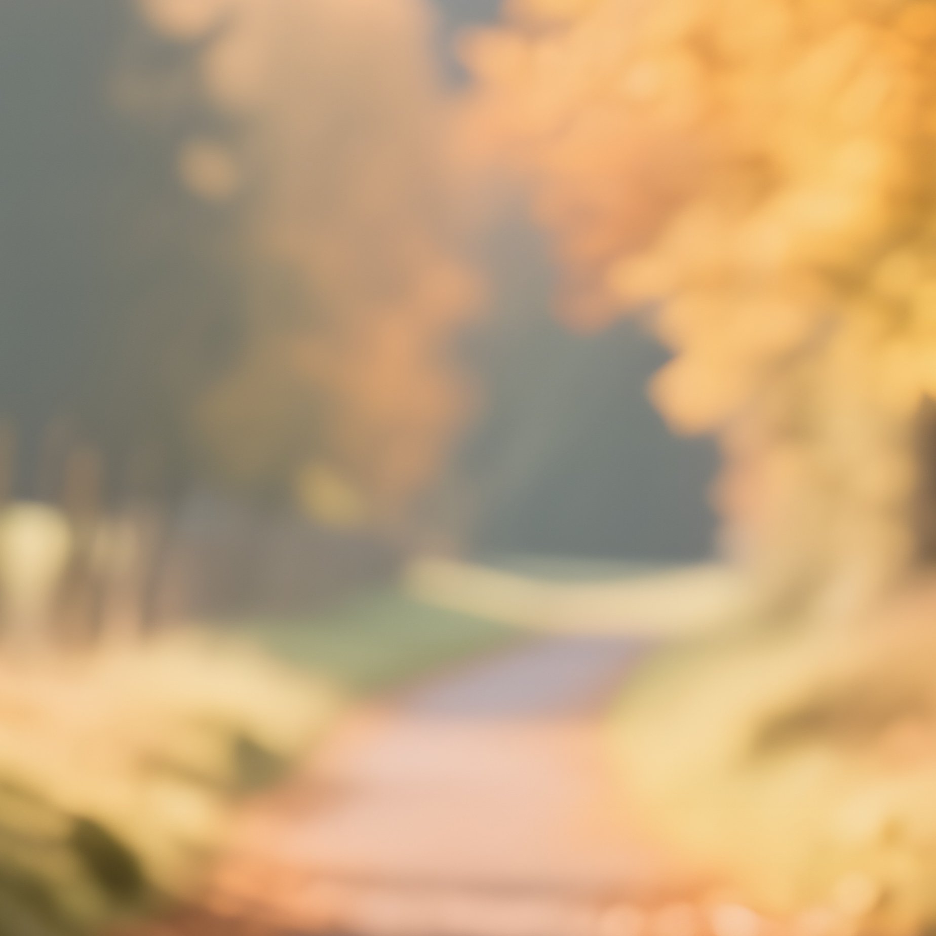A Quiet Autumn Path In The German Countryside Lined With Fallen Leaves And Scattered Brown Boletus - Full Resolution Quality Preview