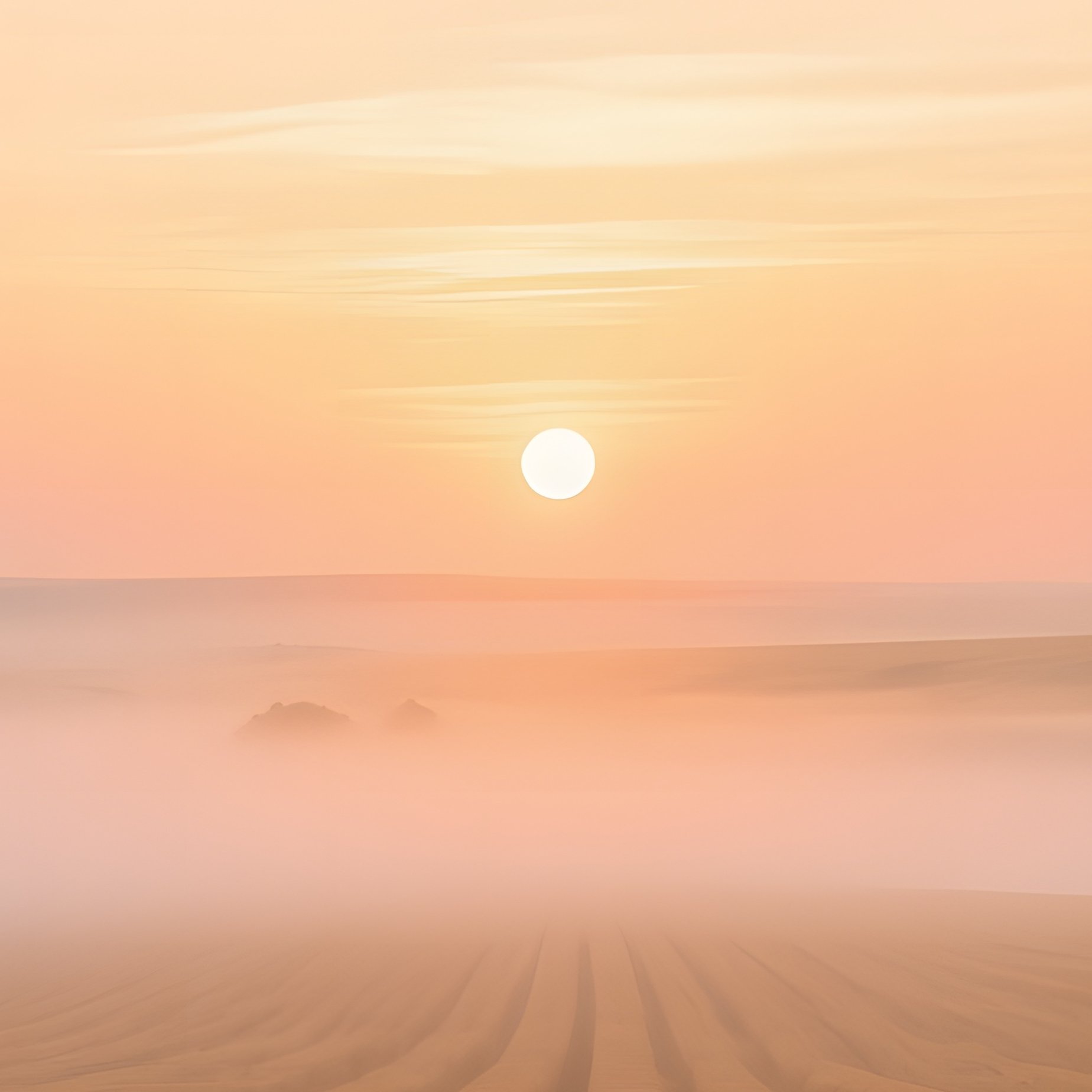 A Quiet Dawn Over A Wheat Field In Nebraska, Fog Lifting To Reveal Endless Golden Rows, Sunrise - Full Resolution Quality Preview