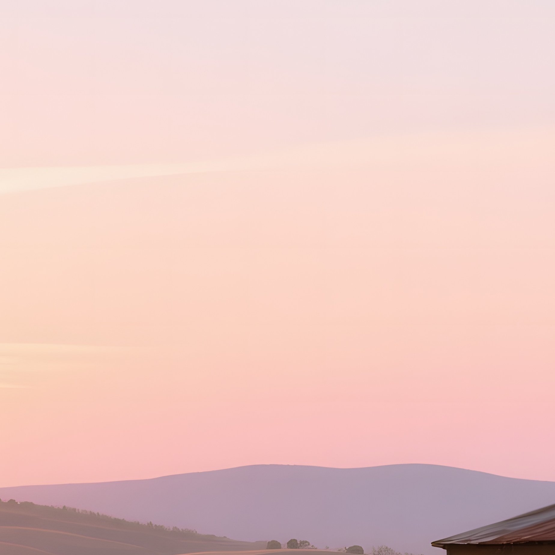 A Quiet Sunrise Over A Historic Texas Ranch, Cattle Grazing Near An Old Windmill, Pastel Sky - Full Resolution Quality Preview