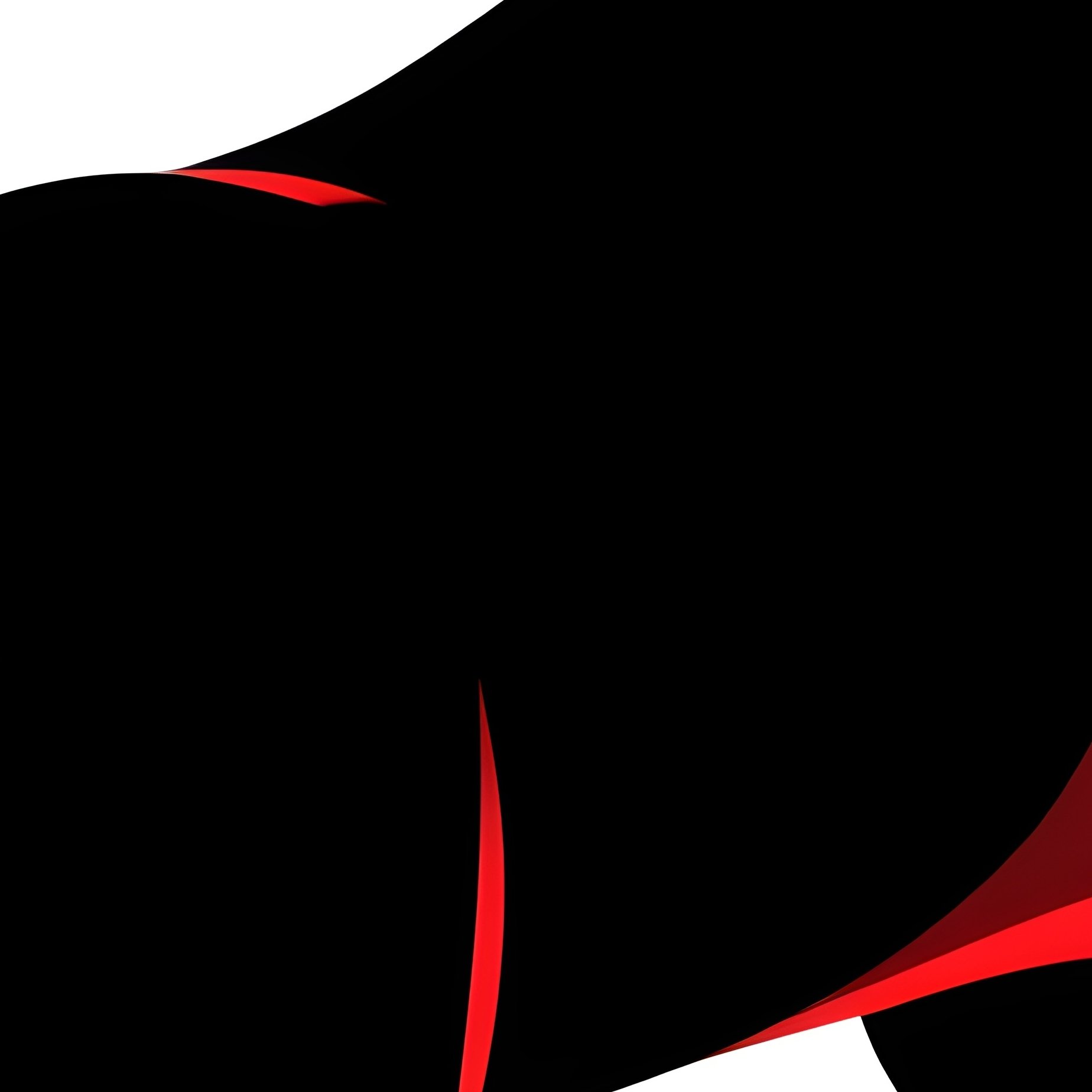 A Ragamuffin Cat Hunting Mode Abstract - Full Resolution Quality Preview