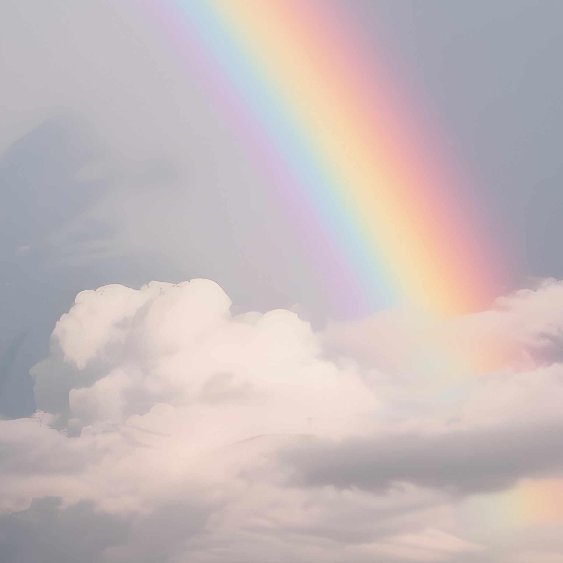 A Rainbow Forming Behind Drifting Storm Clouds Over Savannah - Full Resolution Quality Preview