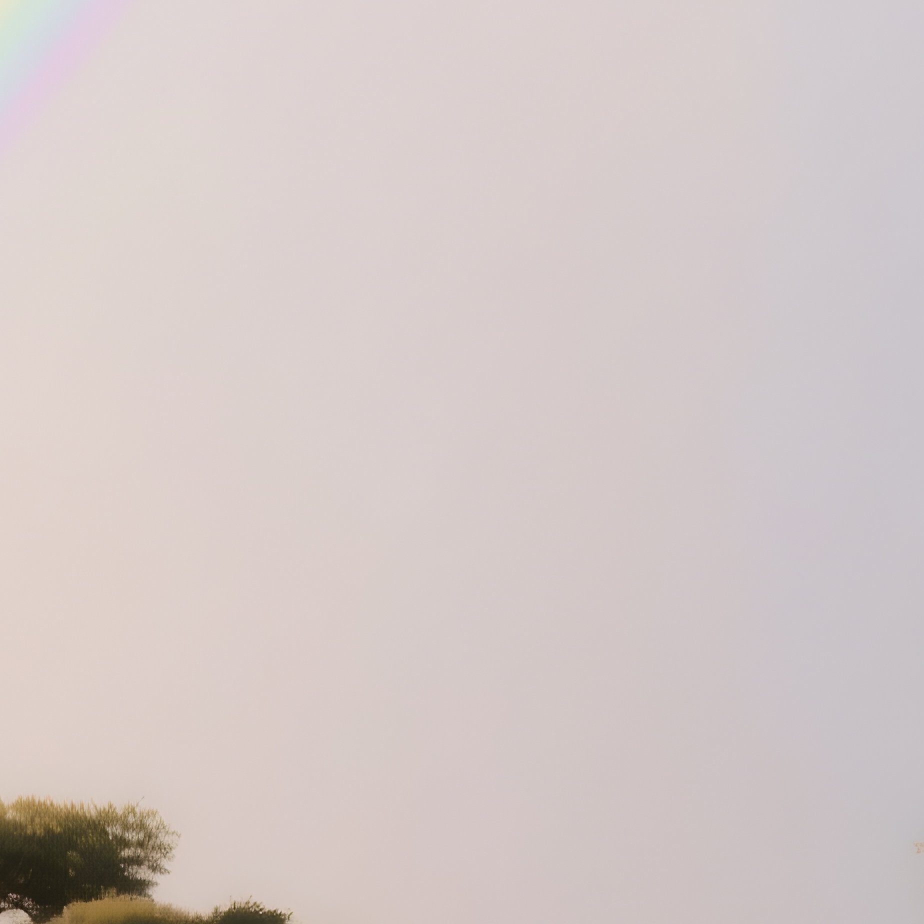 A Rainbow Shining Above A Savannah Filled With Acacia Trees - Full Resolution Quality Preview